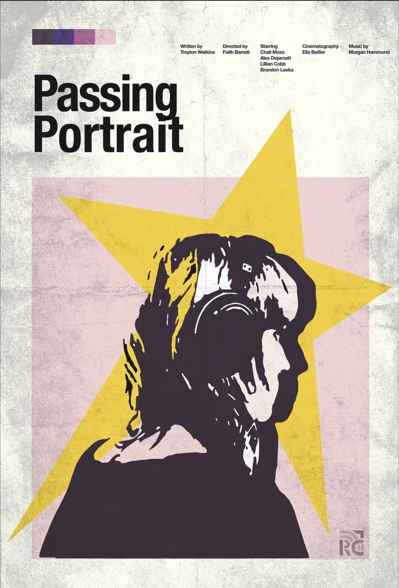 Movie poster "Passing Portrait"
