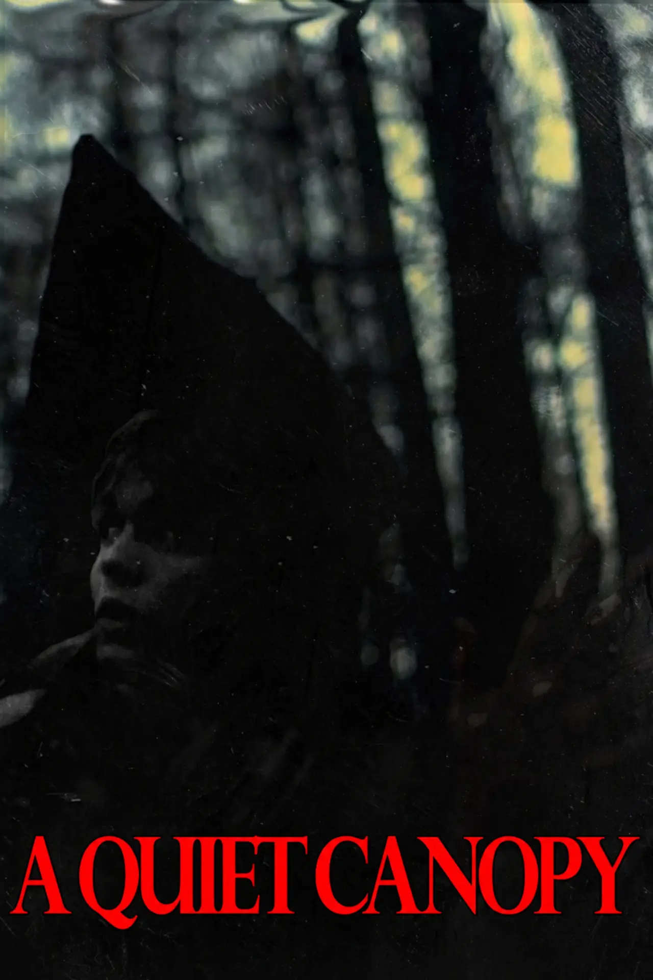 Movie poster "A Quiet Canopy"