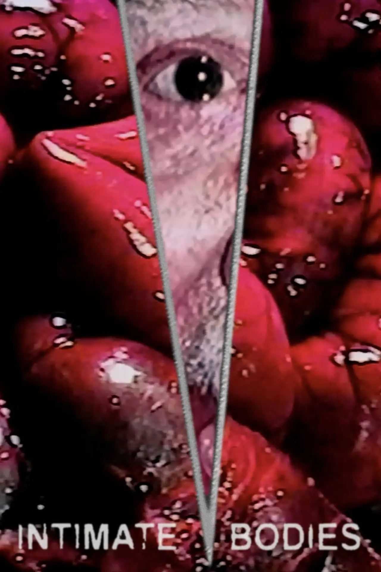 Movie poster "Intimate Bodies"