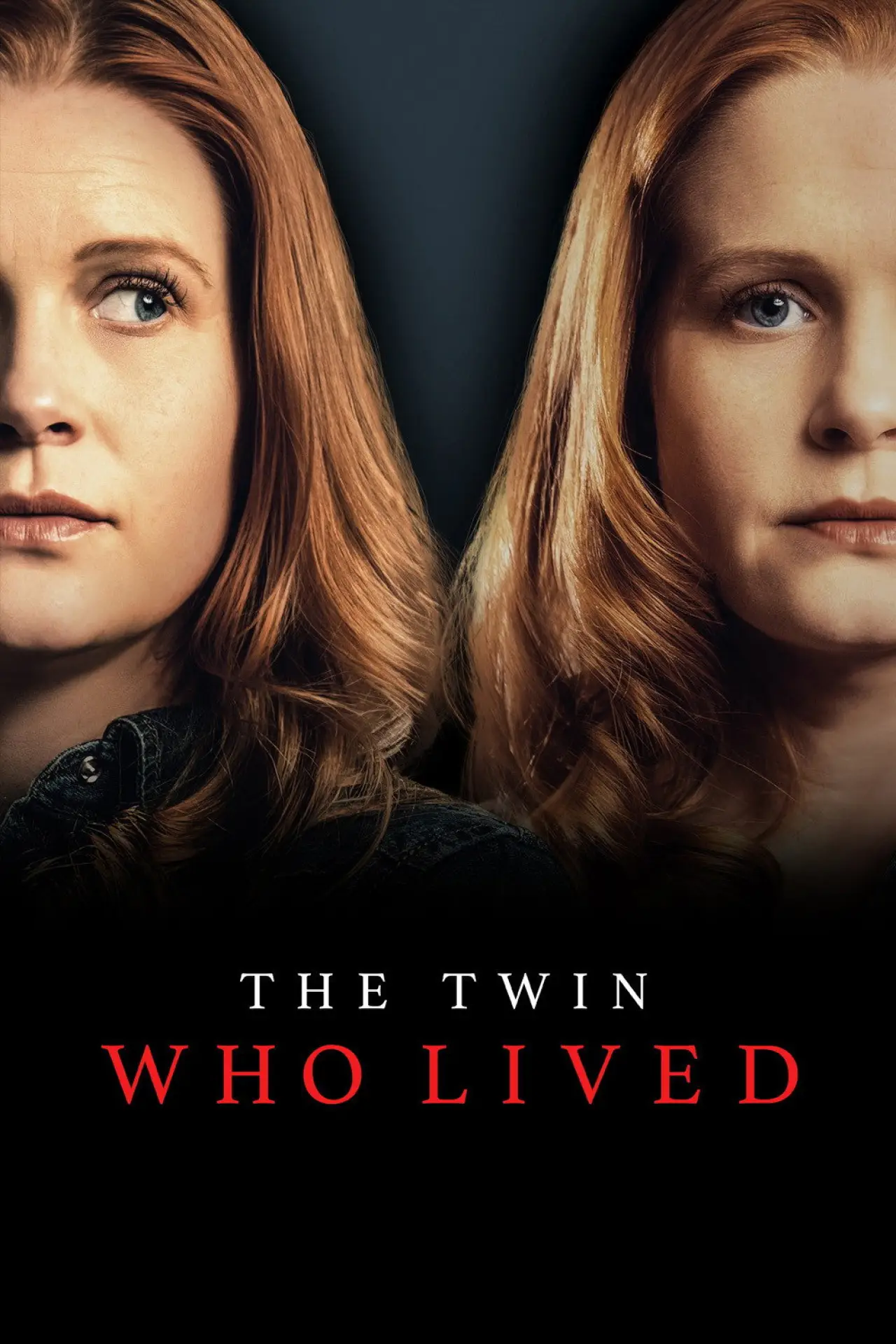 Movie poster "The Twin Who Lived"