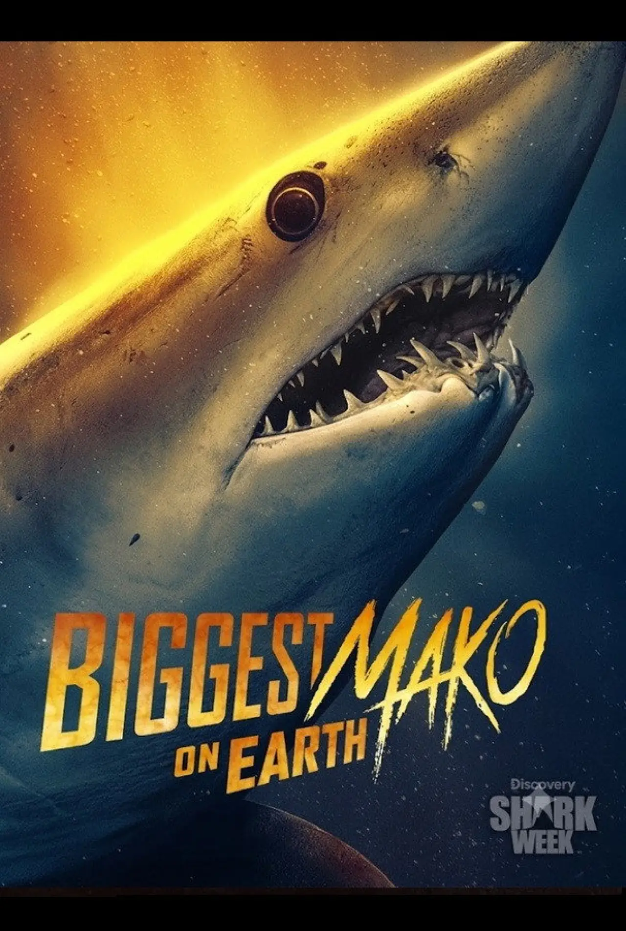 Movie poster "Biggest Mako on Earth"