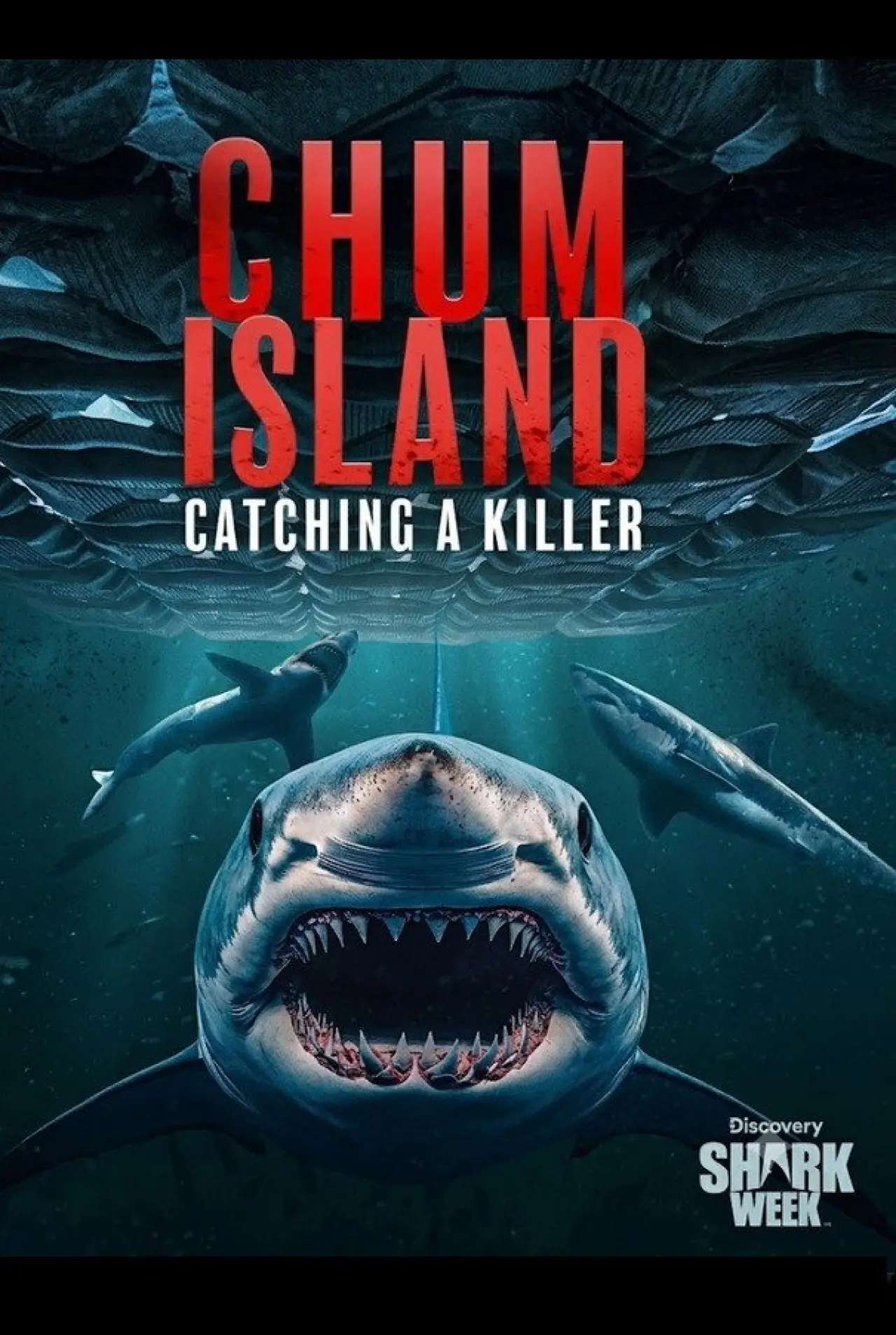 Movie poster "Chum Island: Catching a Killer"