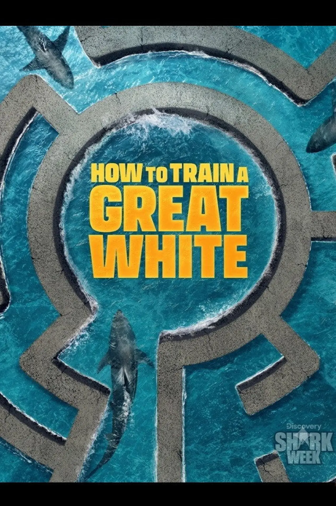 Movie poster "How to Train a Great White"