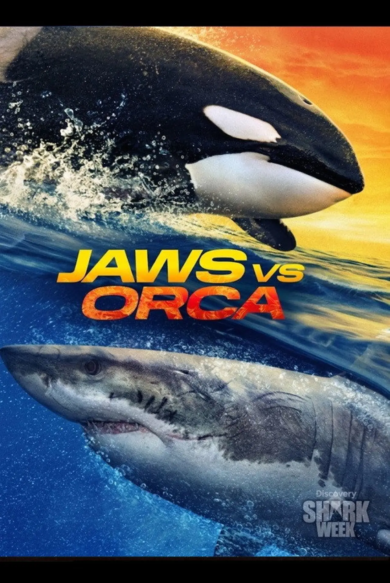 Movie poster "Jaws vs. Orca"