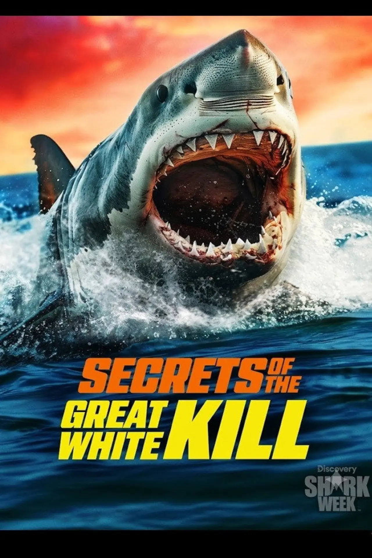 Movie poster "Secrets of the Great White Kill"