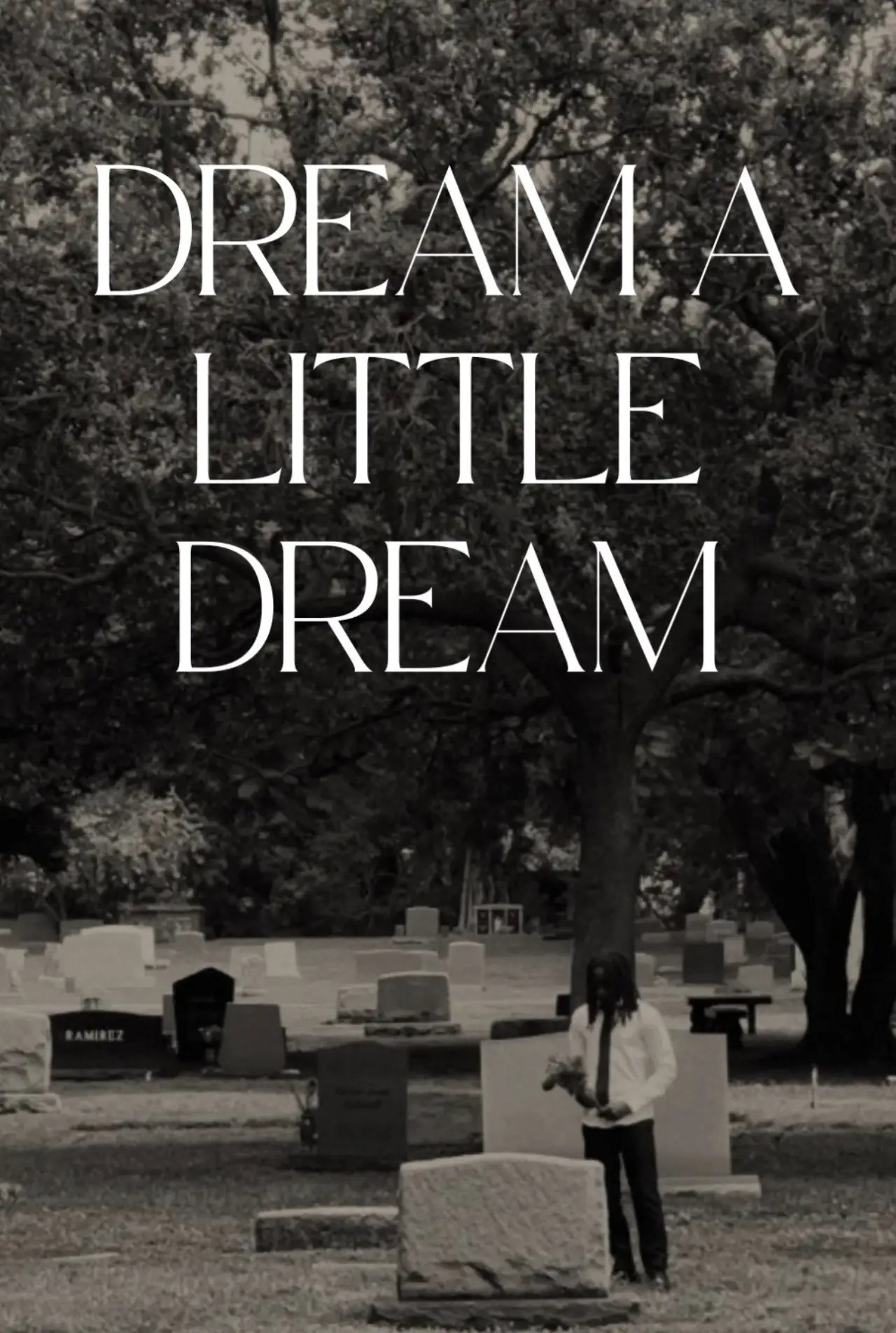 Movie poster "Dream a Little Dream"