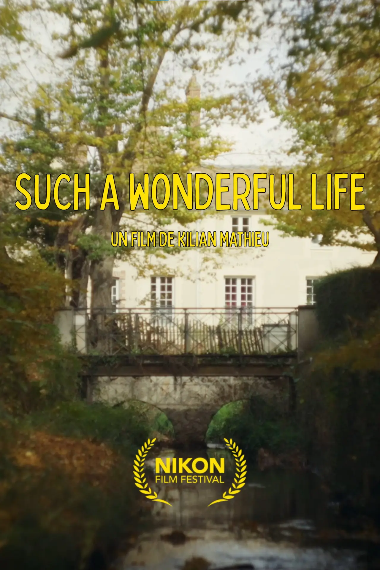 Movie poster "Such a Wonderful Life (long version)"