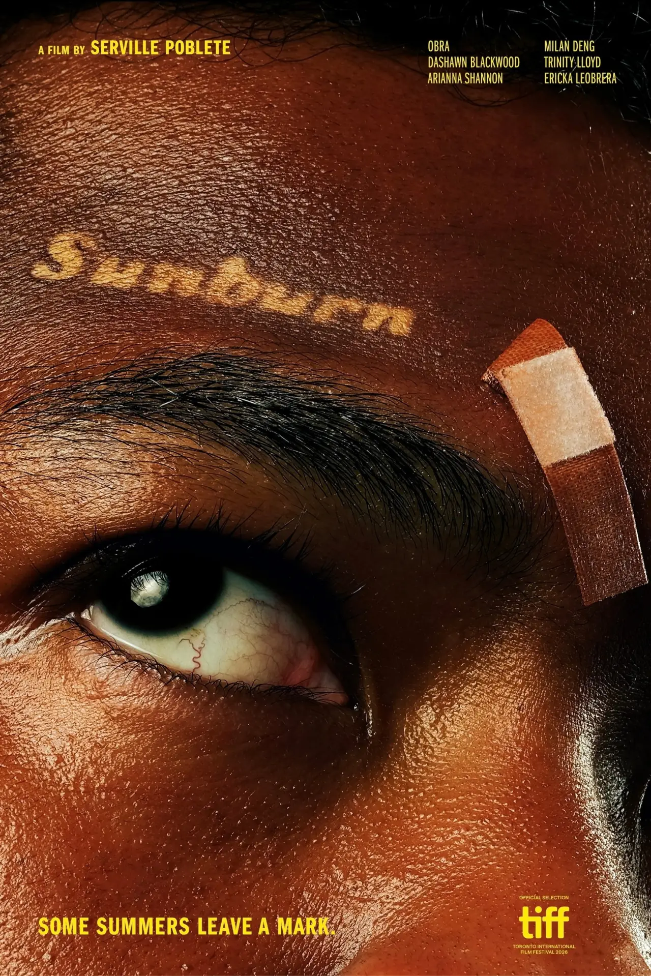 Movie poster "Sunburn"