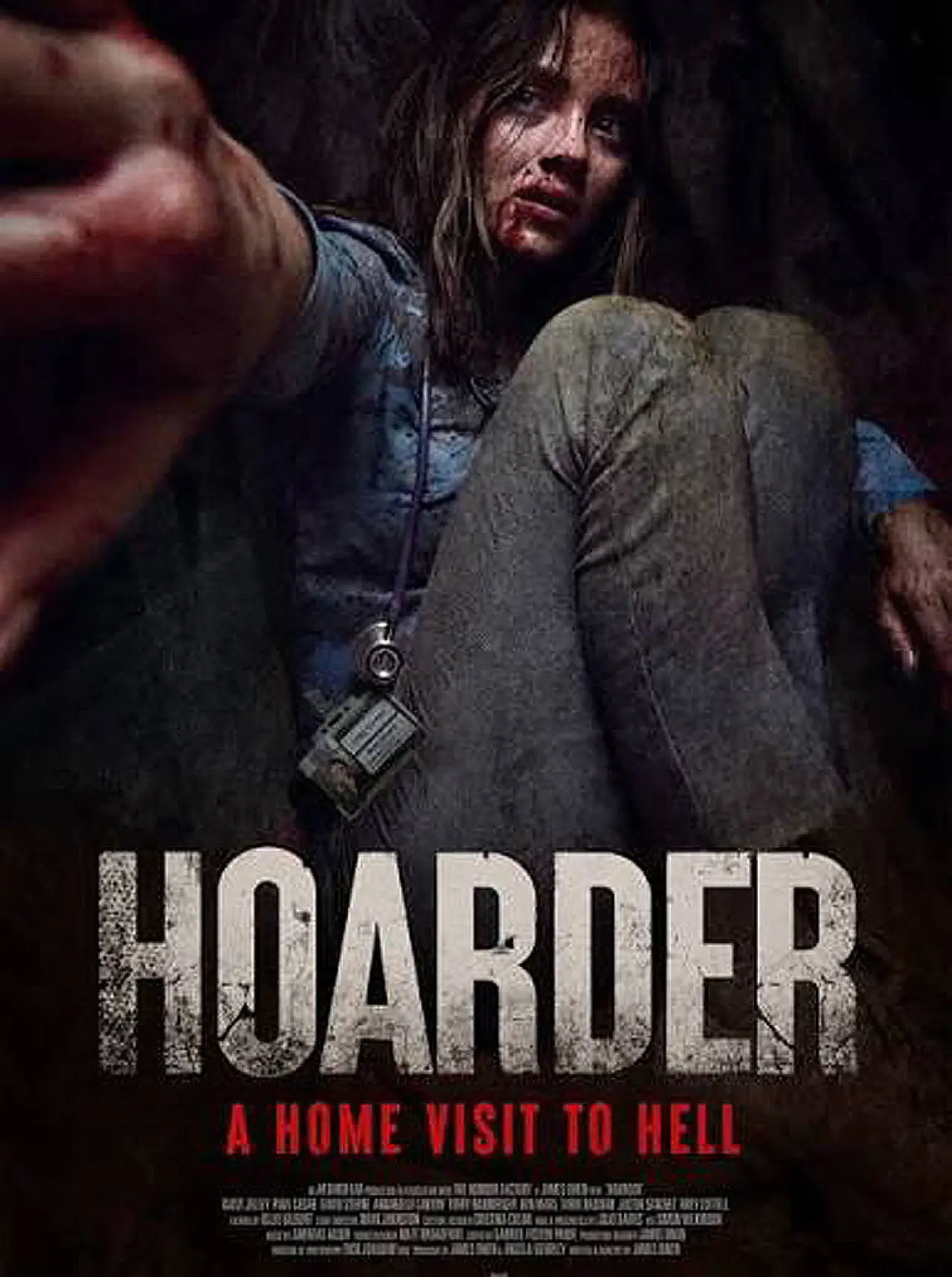 Movie poster "The Hoarder"