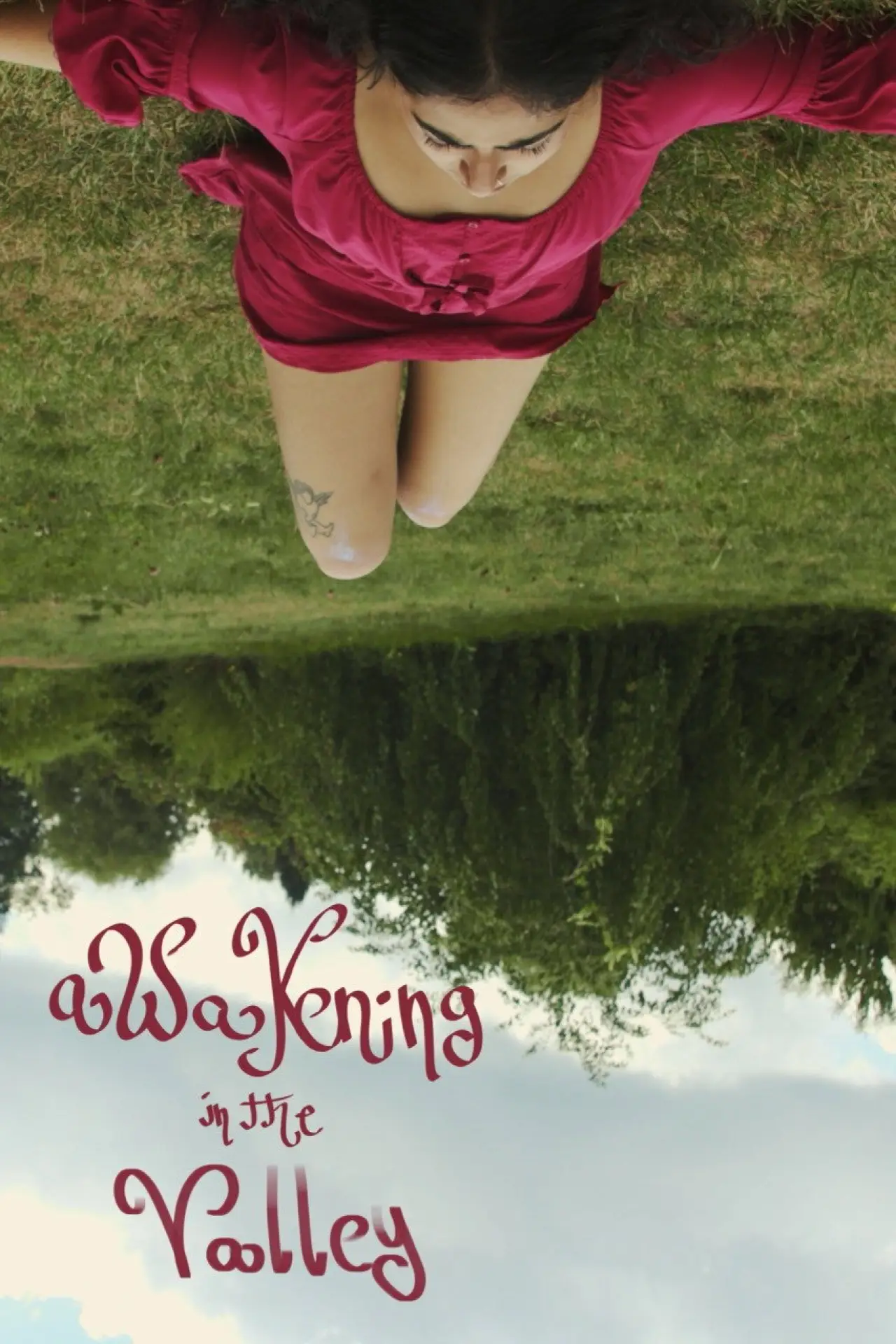 Movie poster "Awakening in the Valley"