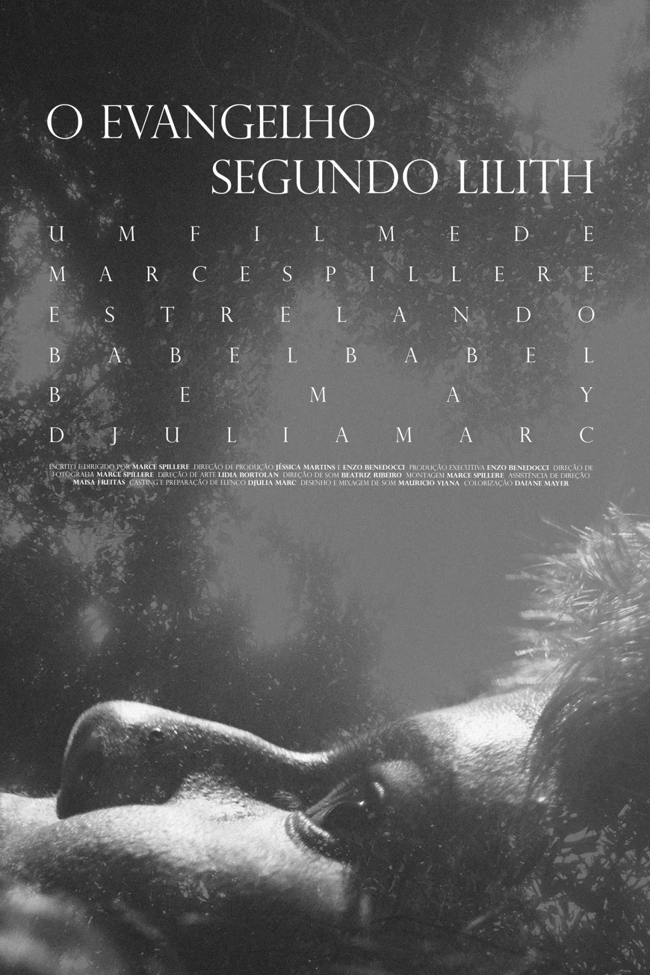 Movie poster "O Evangelho Segundo Lilith"