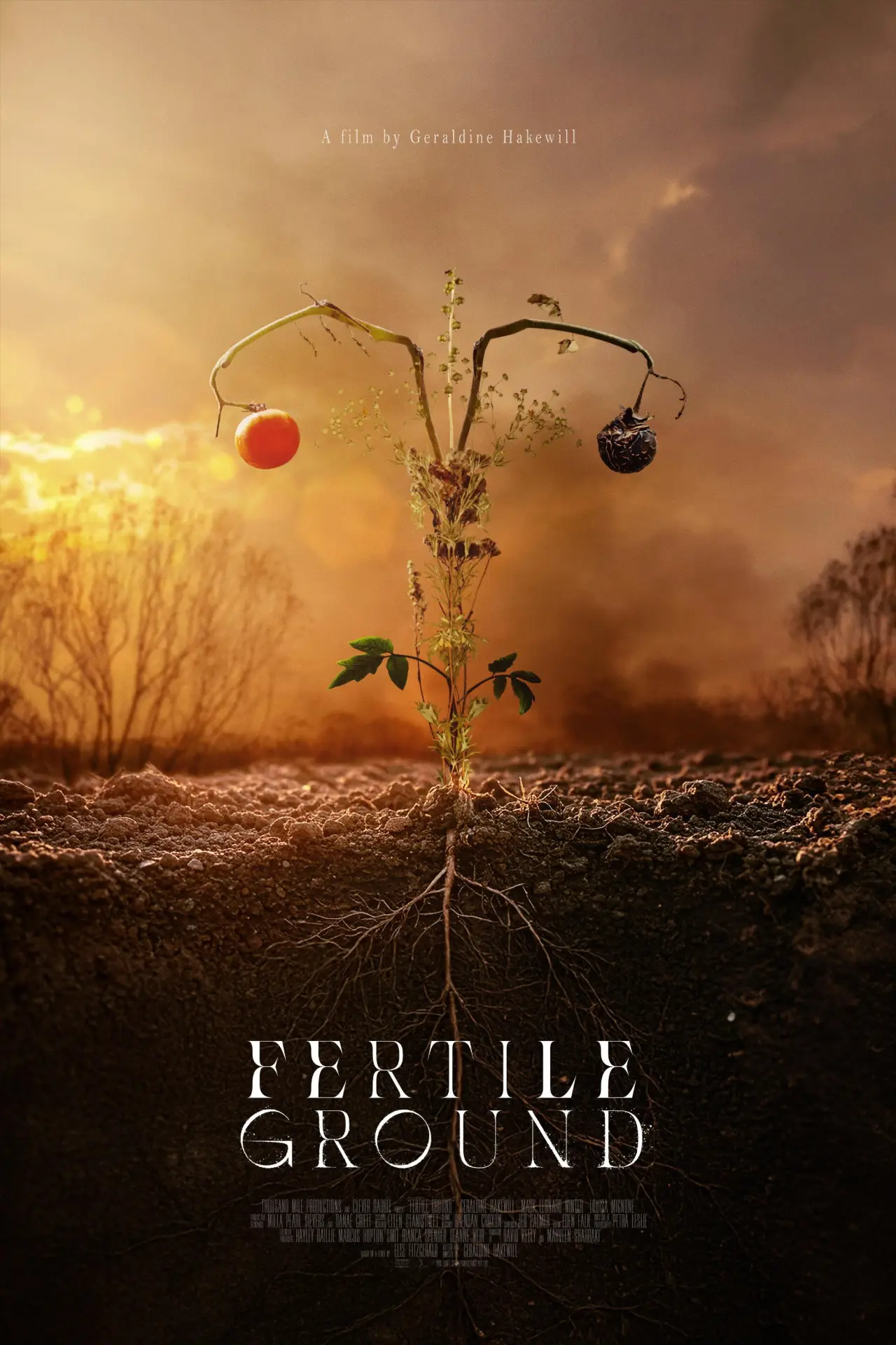 Movie poster "Fertile Ground"