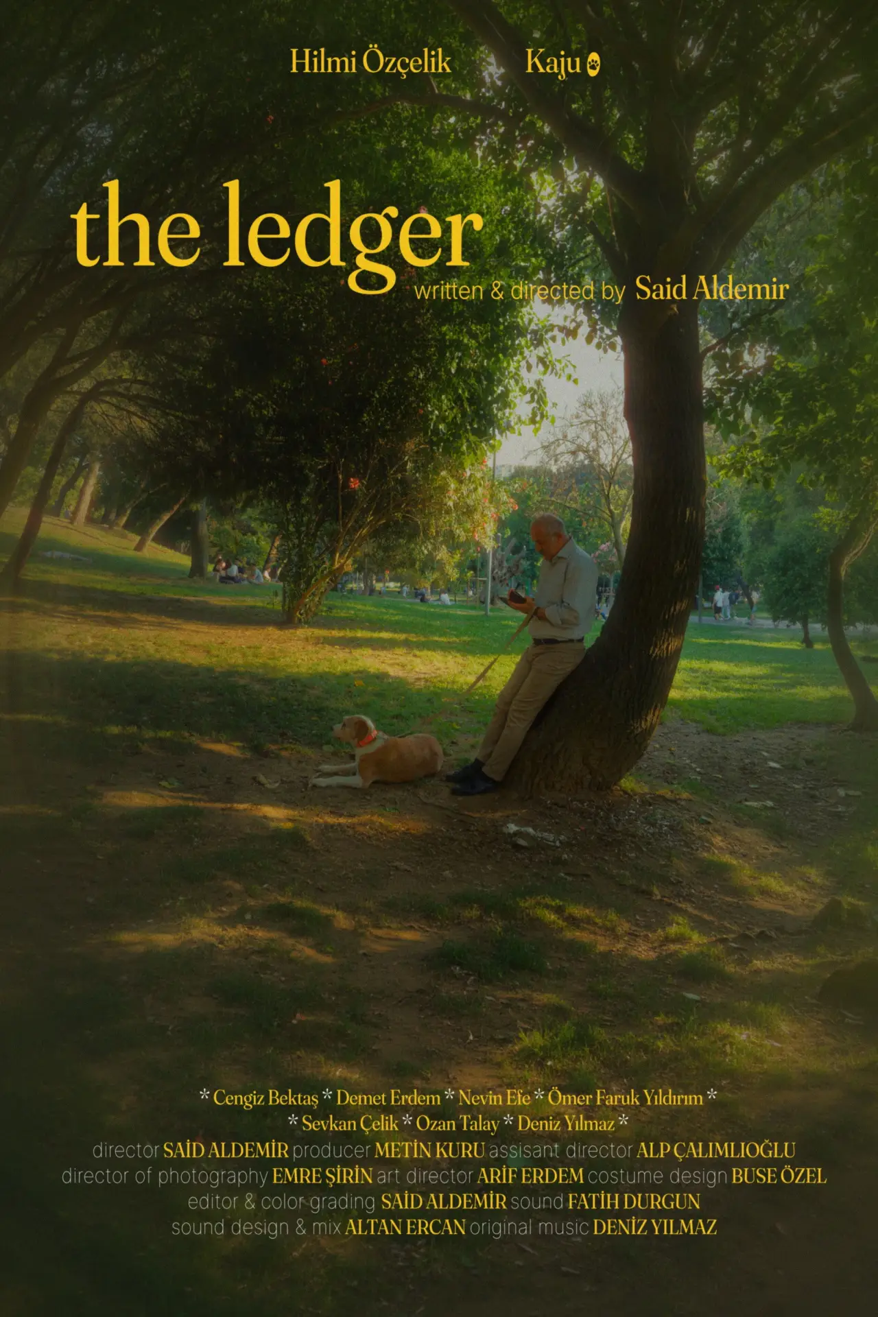 Movie poster "The Ledger"