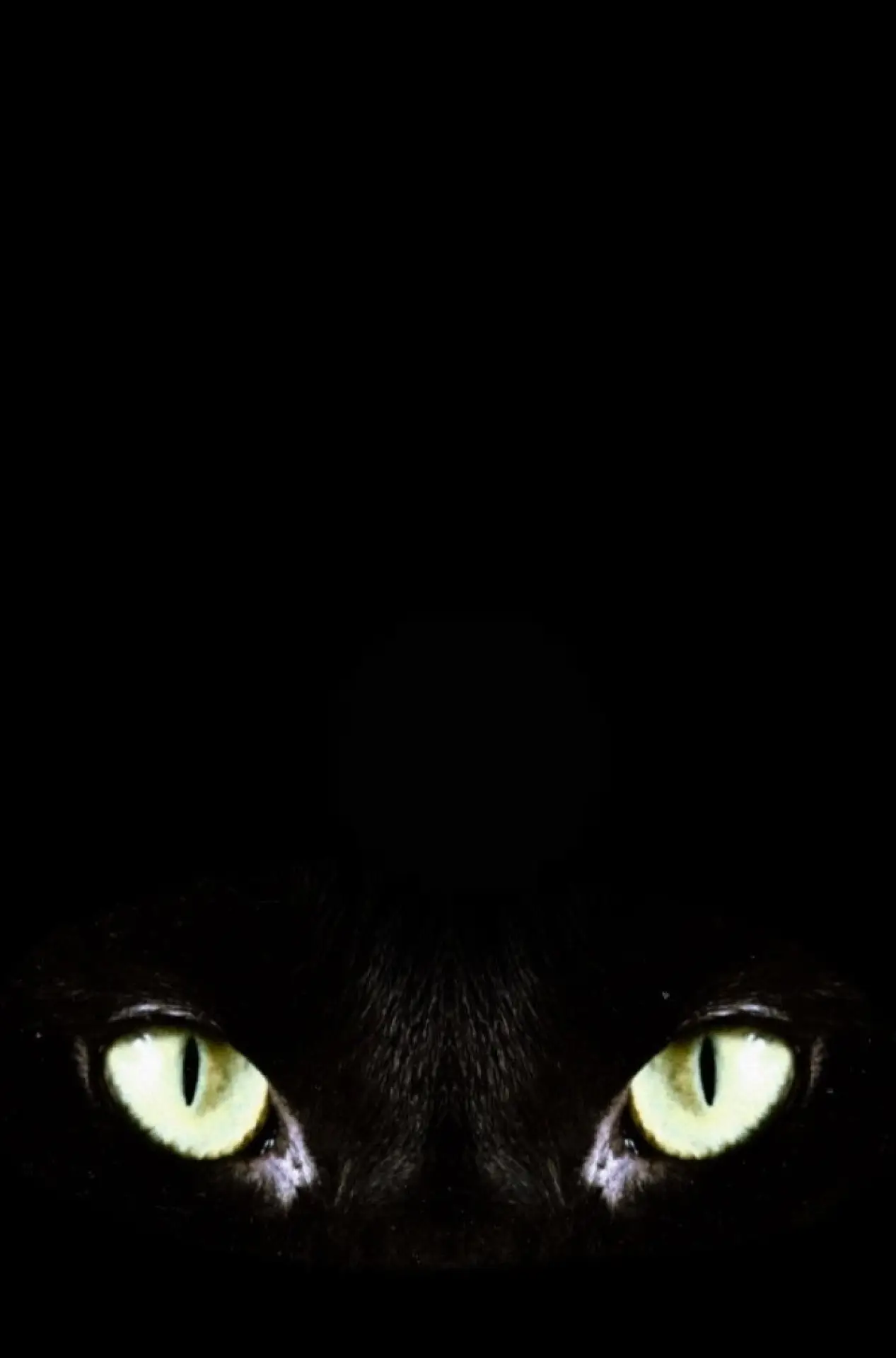 Movie poster "Halloween Claws"