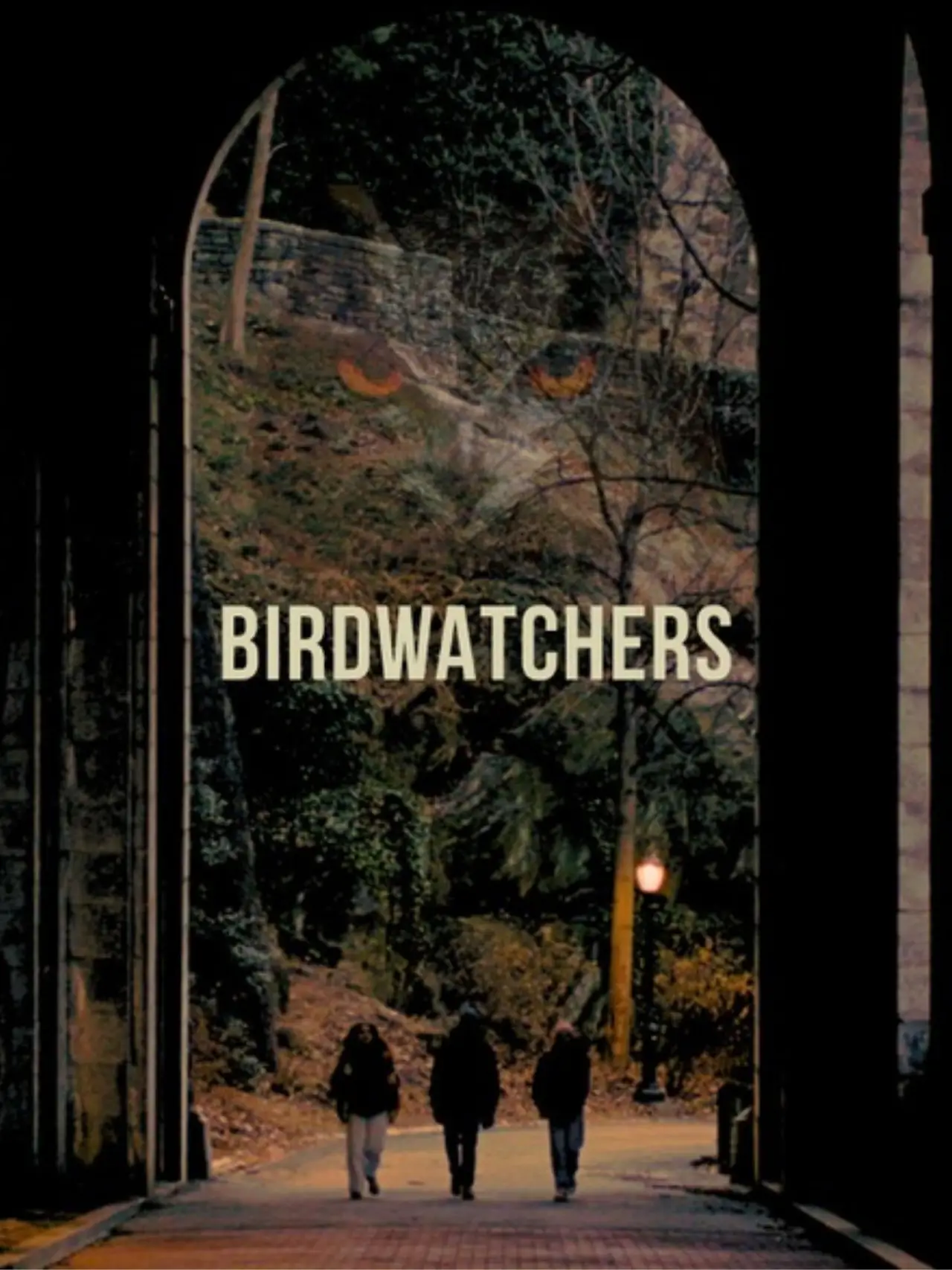 Movie poster "Birdwatchers"