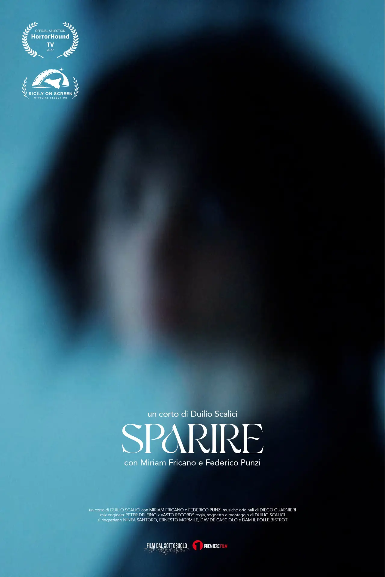 Movie poster "Disappear"