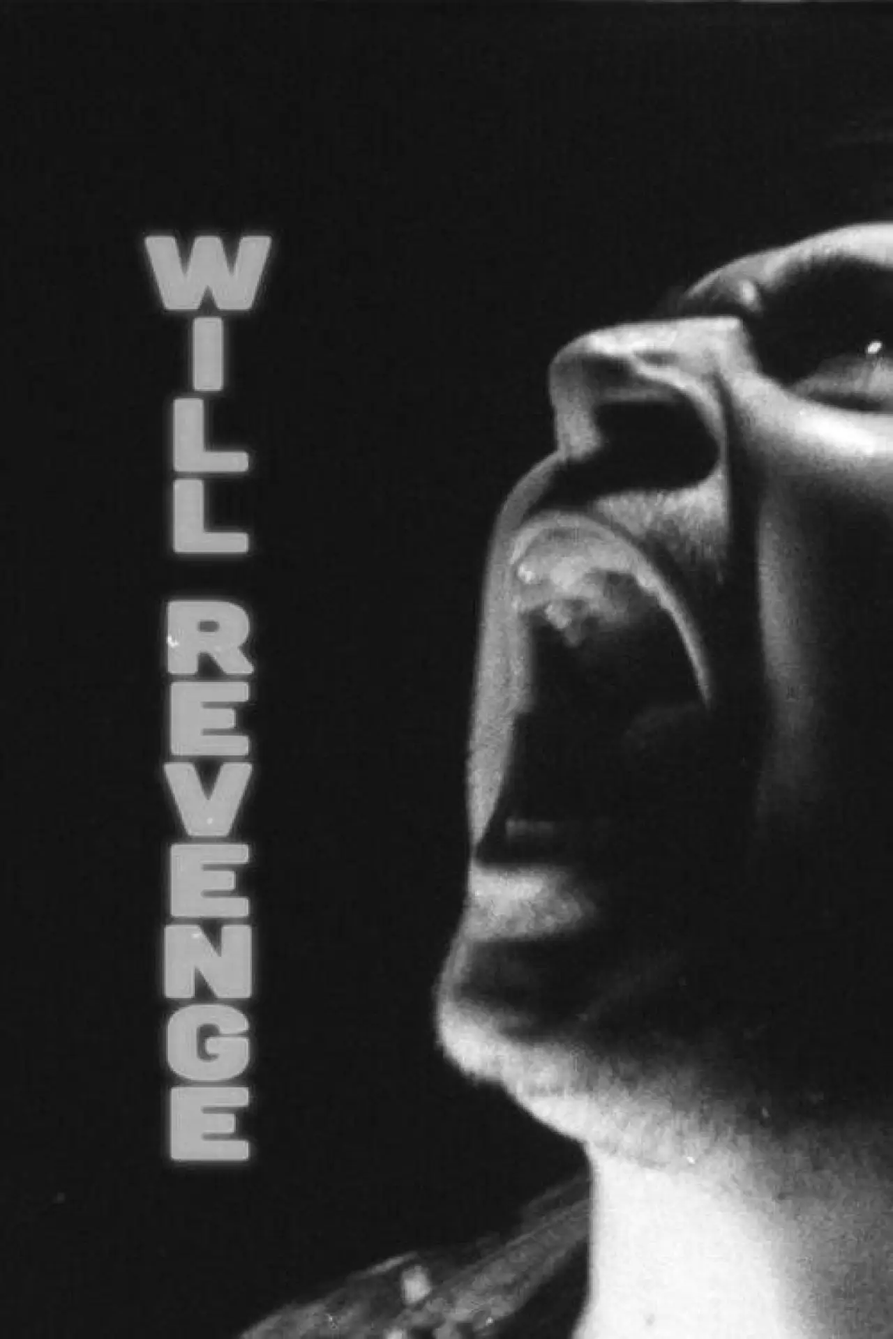 Movie poster "Will Revenge"