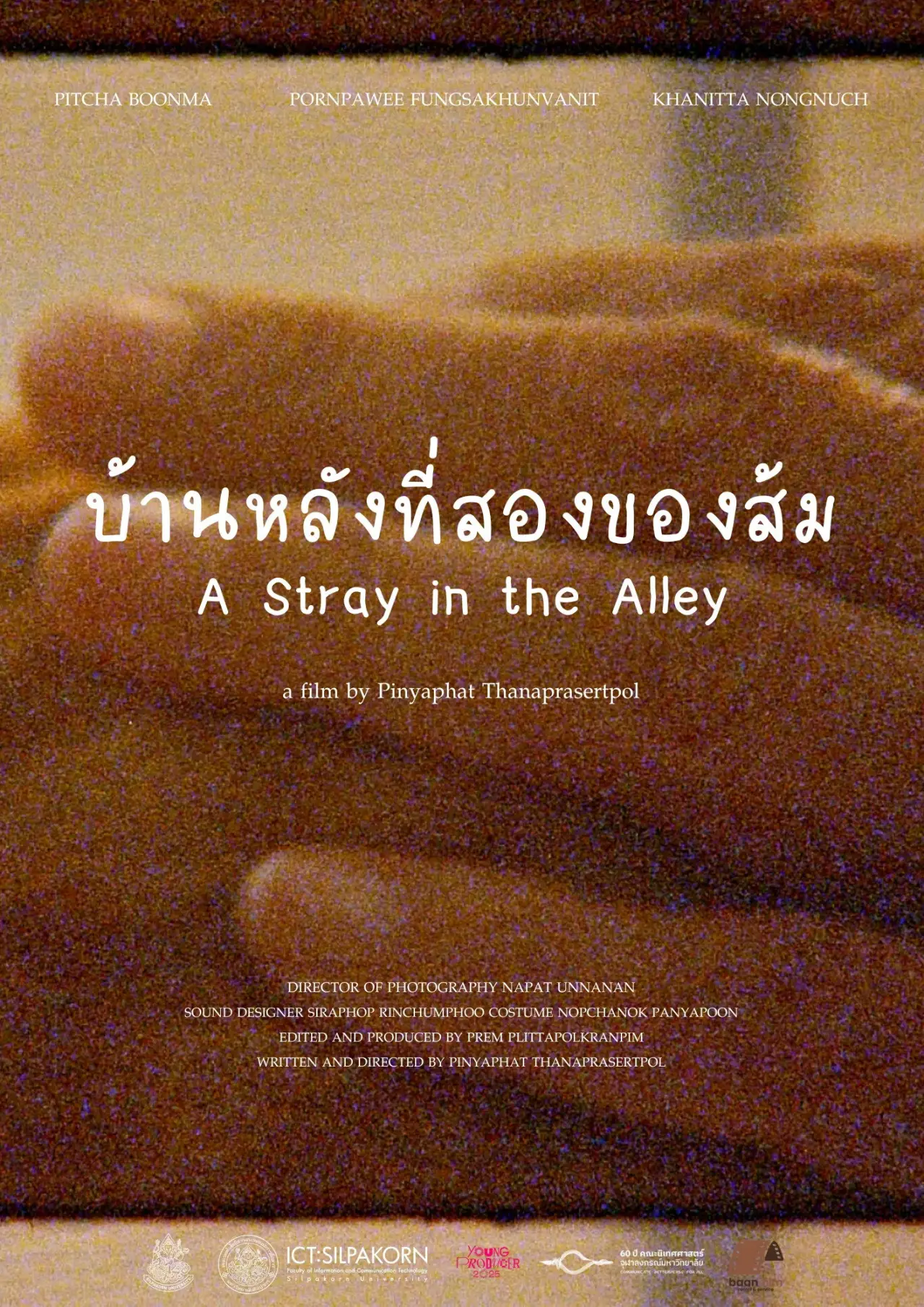 Movie poster "A Stray in the Alley"