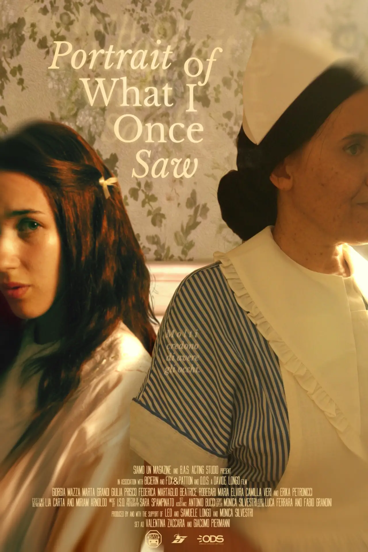 Movie poster "Portrait Of What I Once Saw"
