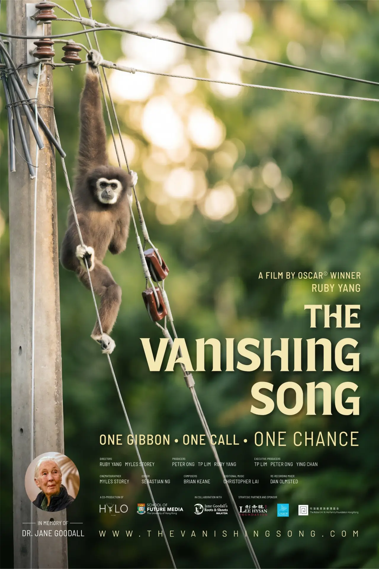 Movie poster "The Vanishing Song"