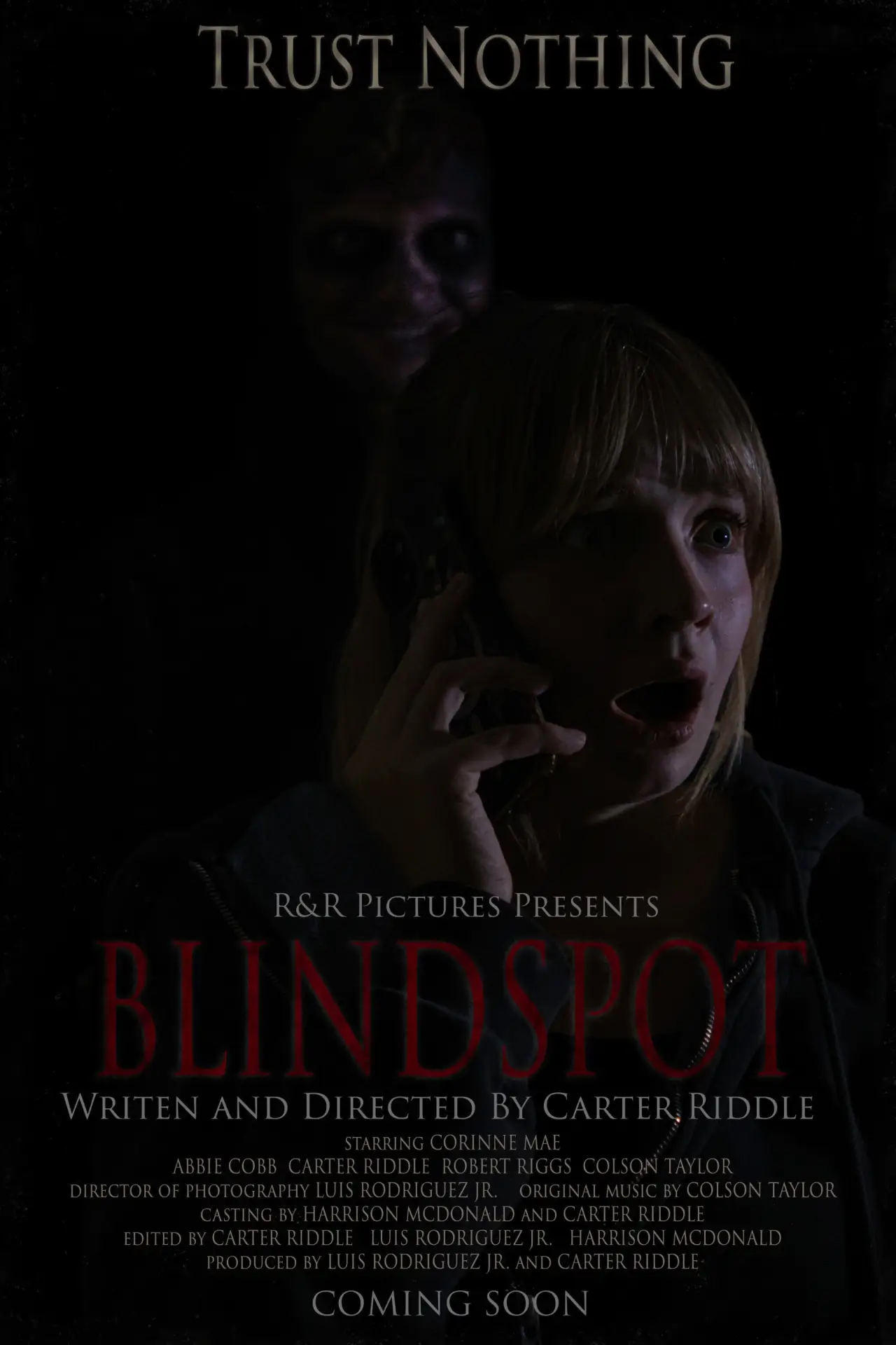 Movie poster "BLINDSPOT"