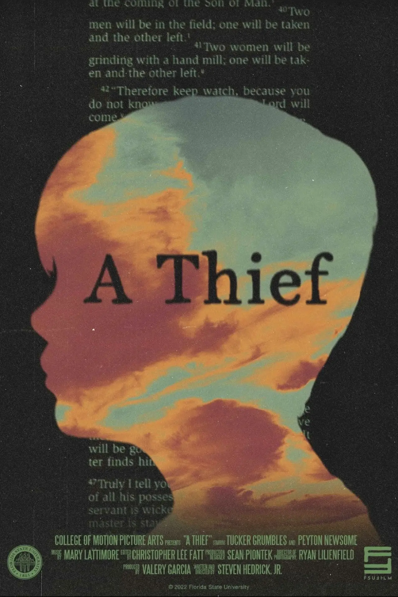 Movie poster "A Thief"