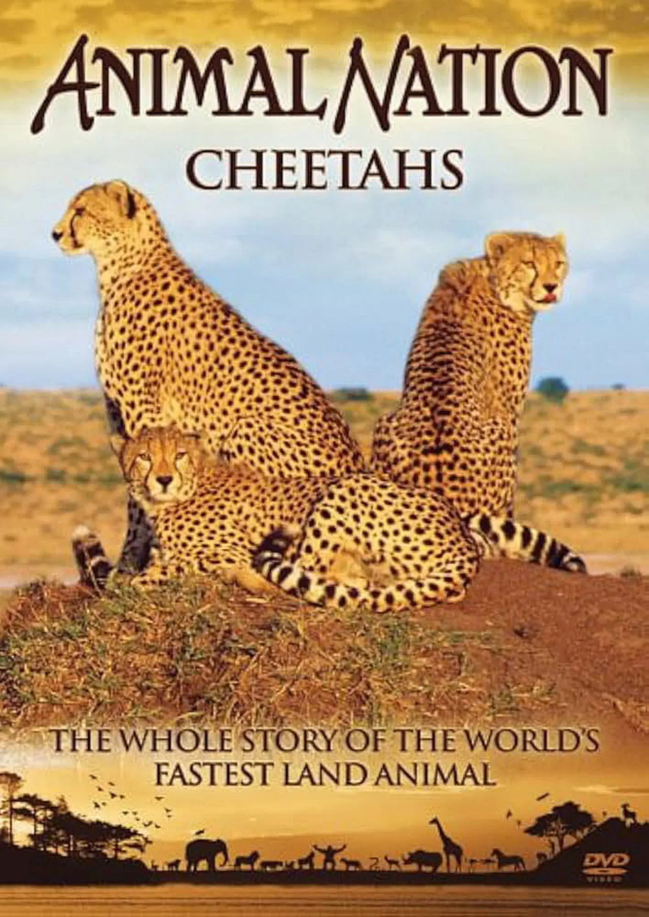 Movie poster "Animal Nation Cheetahs"
