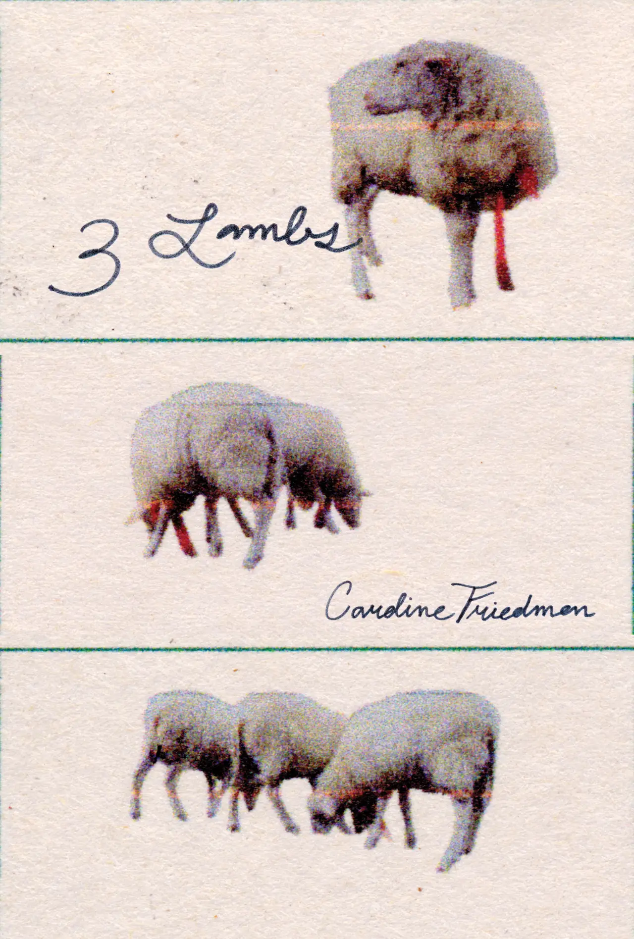 Movie poster "3 Lambs"