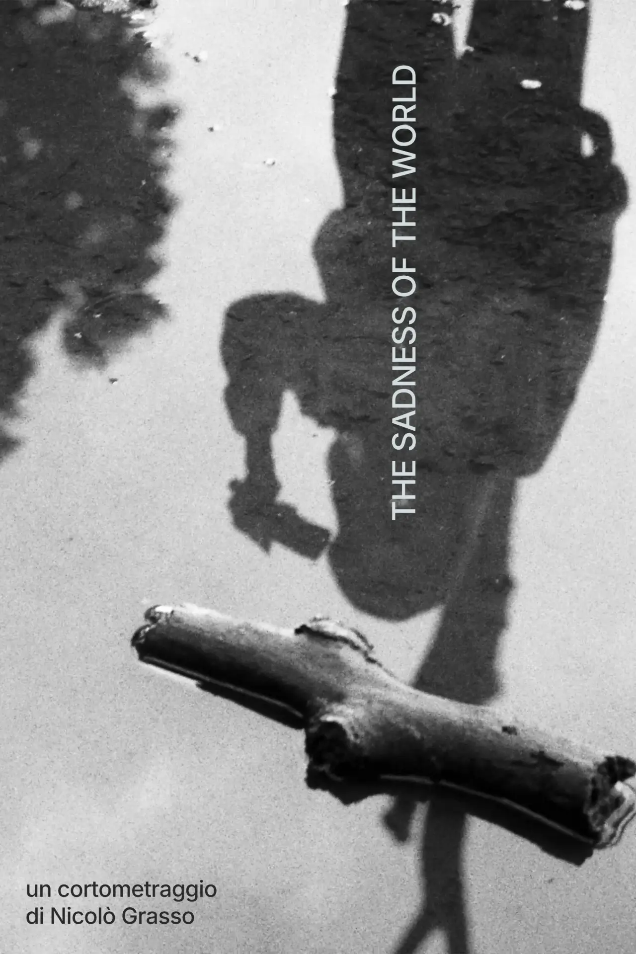 Movie poster "The Sadness of the World"
