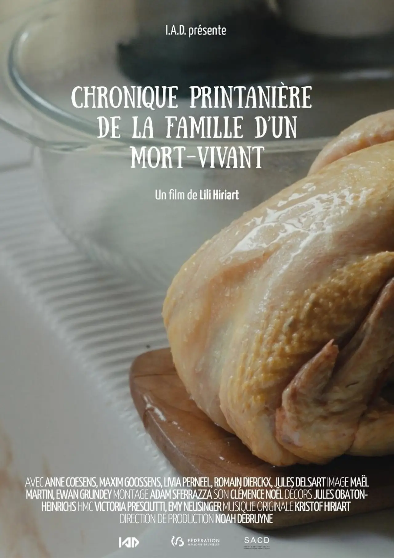 Movie poster "Chronique Printanière de la Famille d’un Mort-vivant"