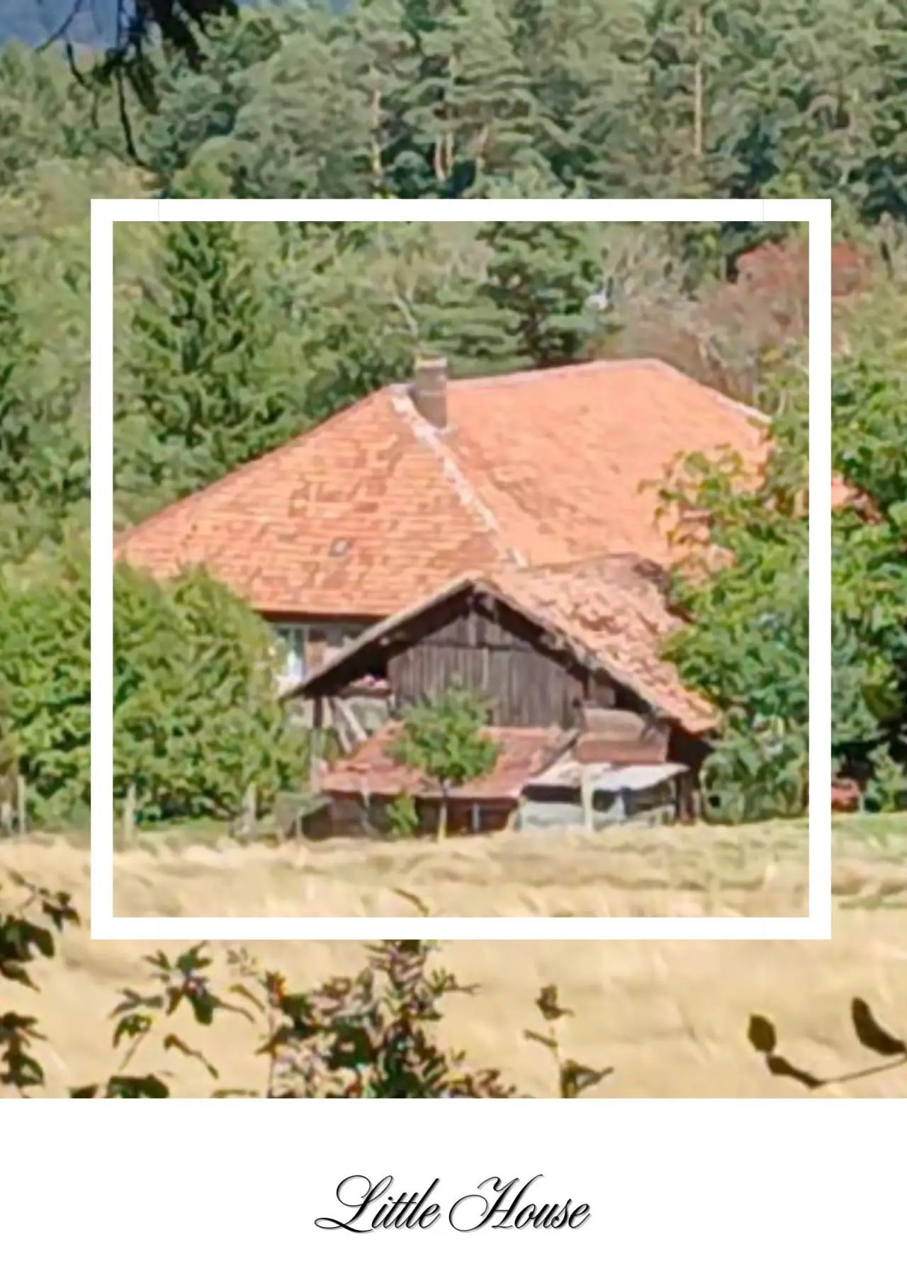 Movie poster "Little House"