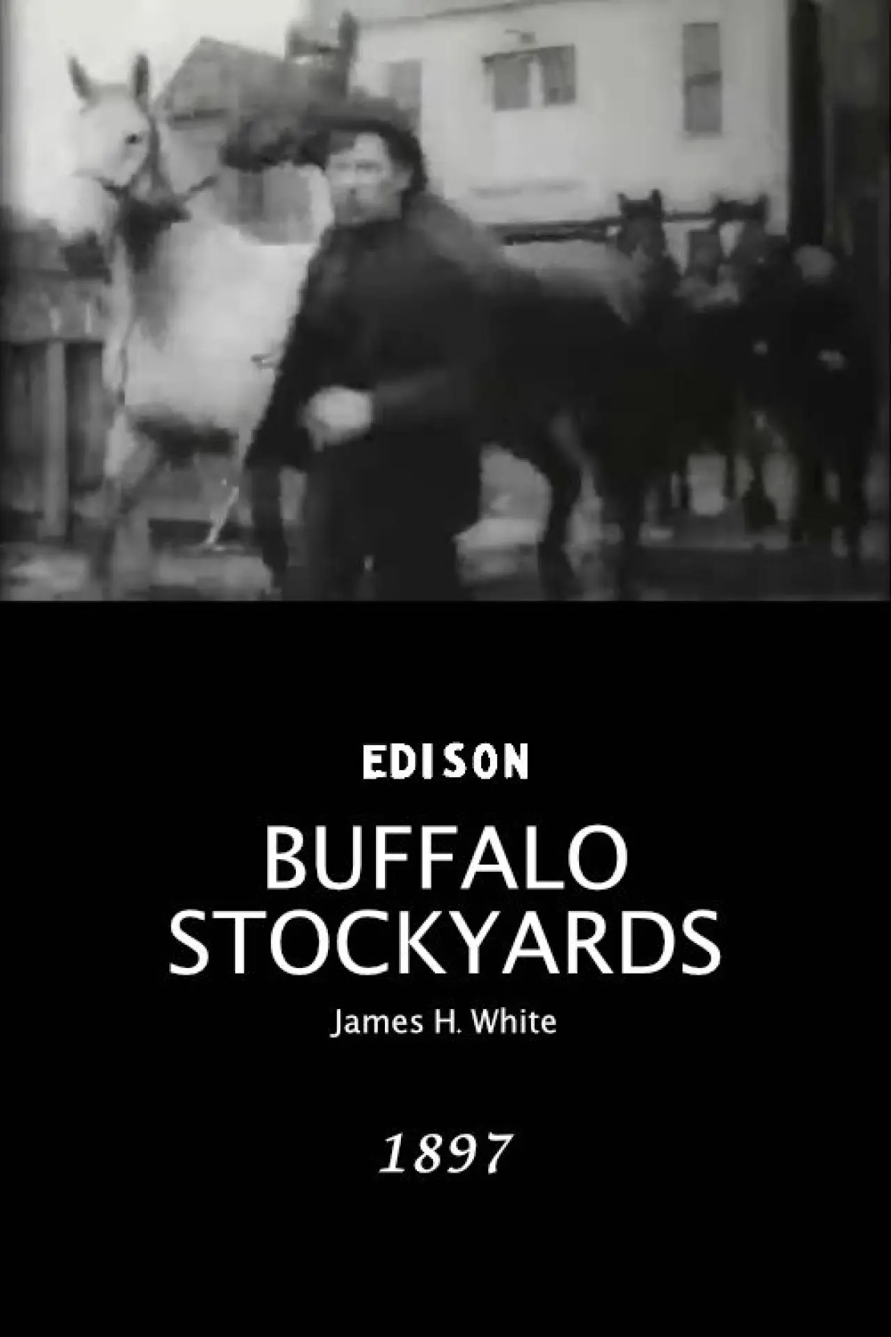 Movie poster "Buffalo Stockyards"