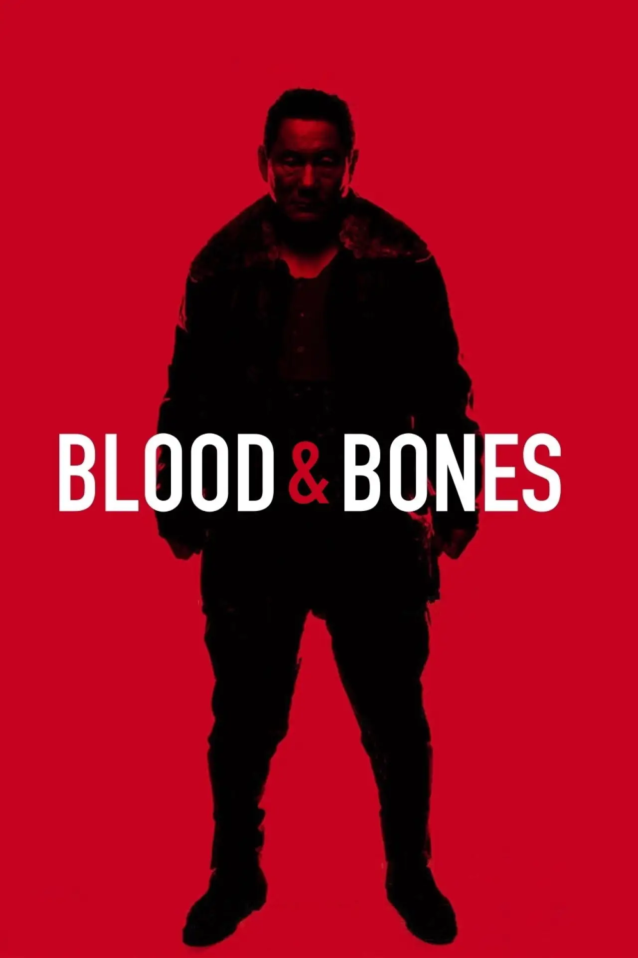 Movie poster "Blood and Bones"