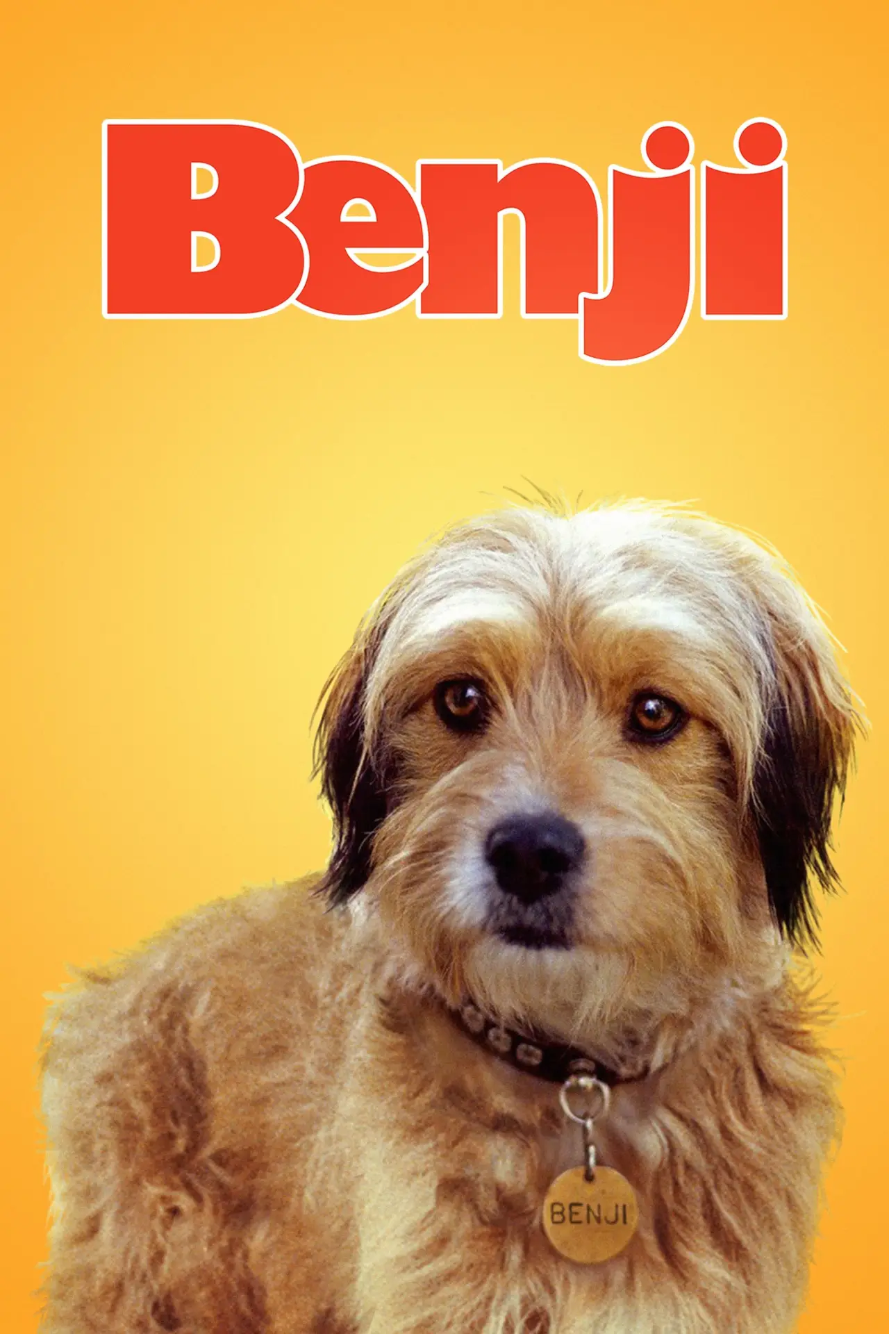 Movie poster "Benji"