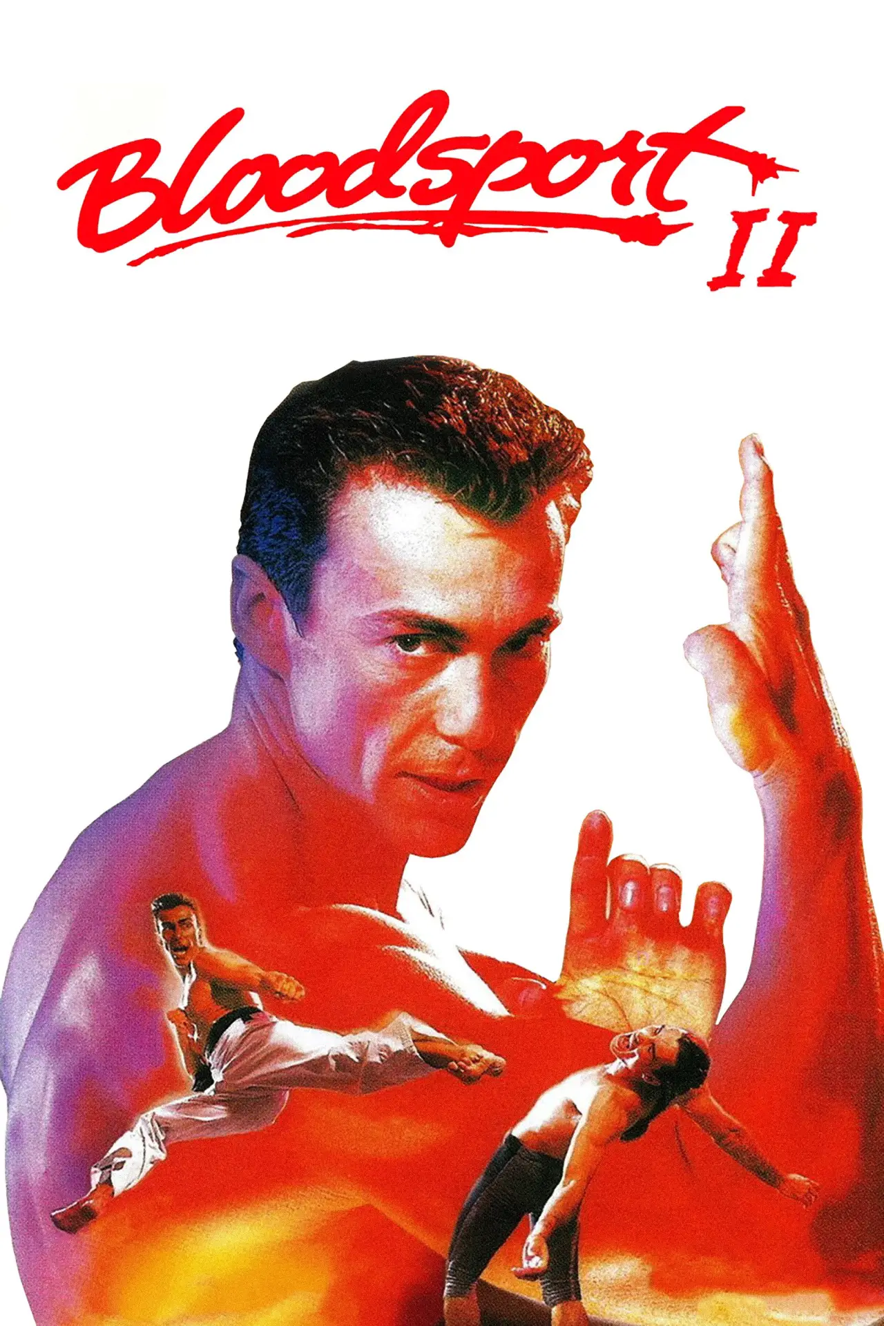 Movie poster "Bloodsport II"