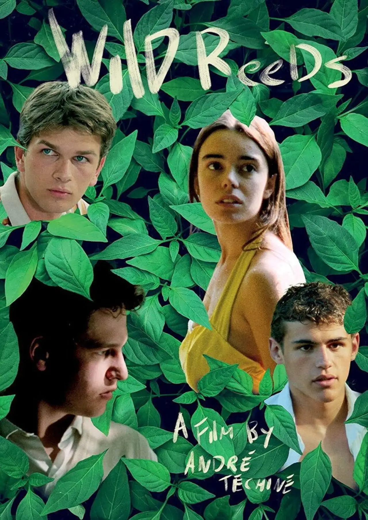 Movie poster "Wild Reeds"