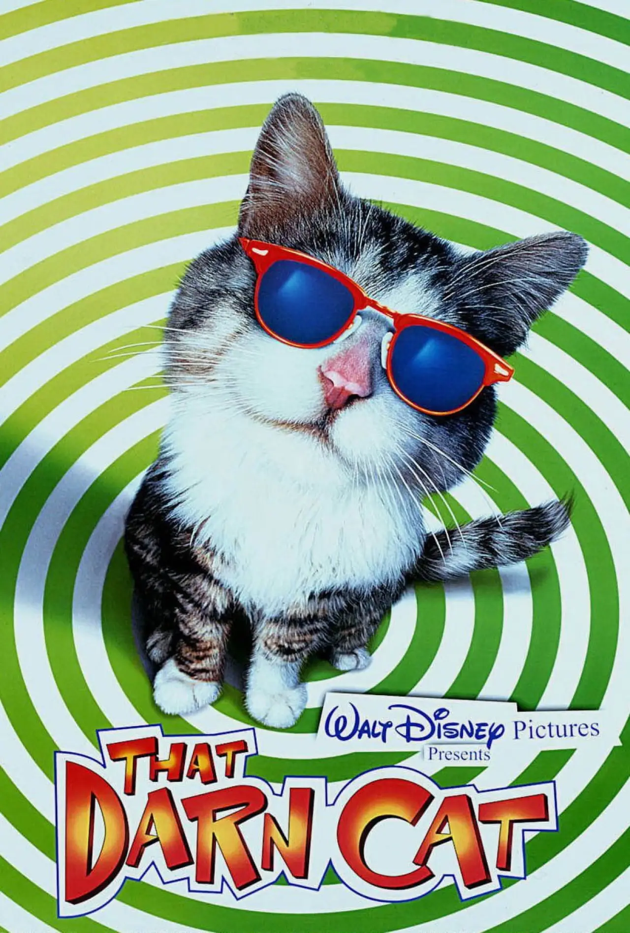 Movie poster "That Darn Cat"