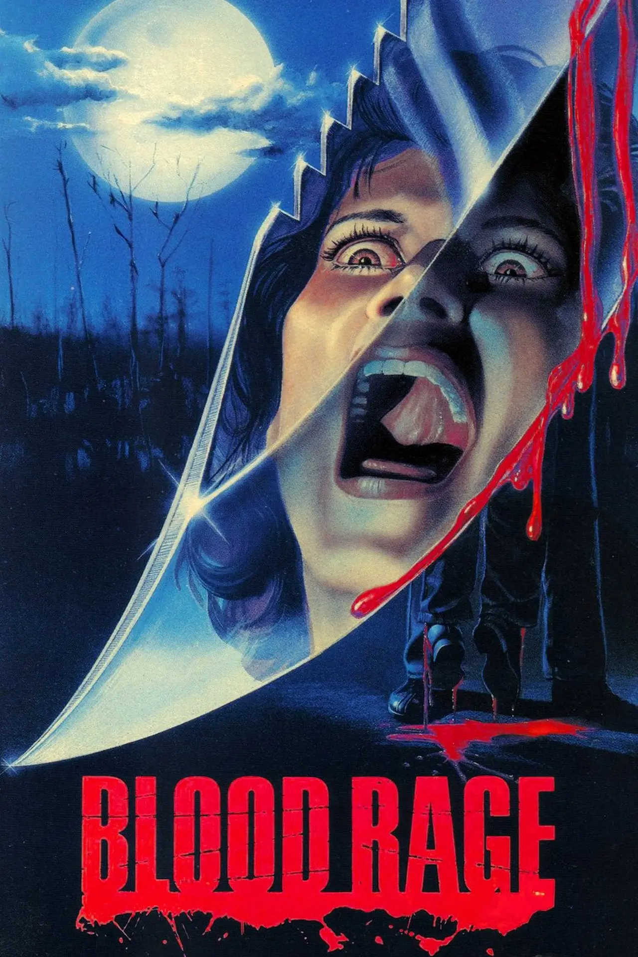Movie poster "Blood Rage"