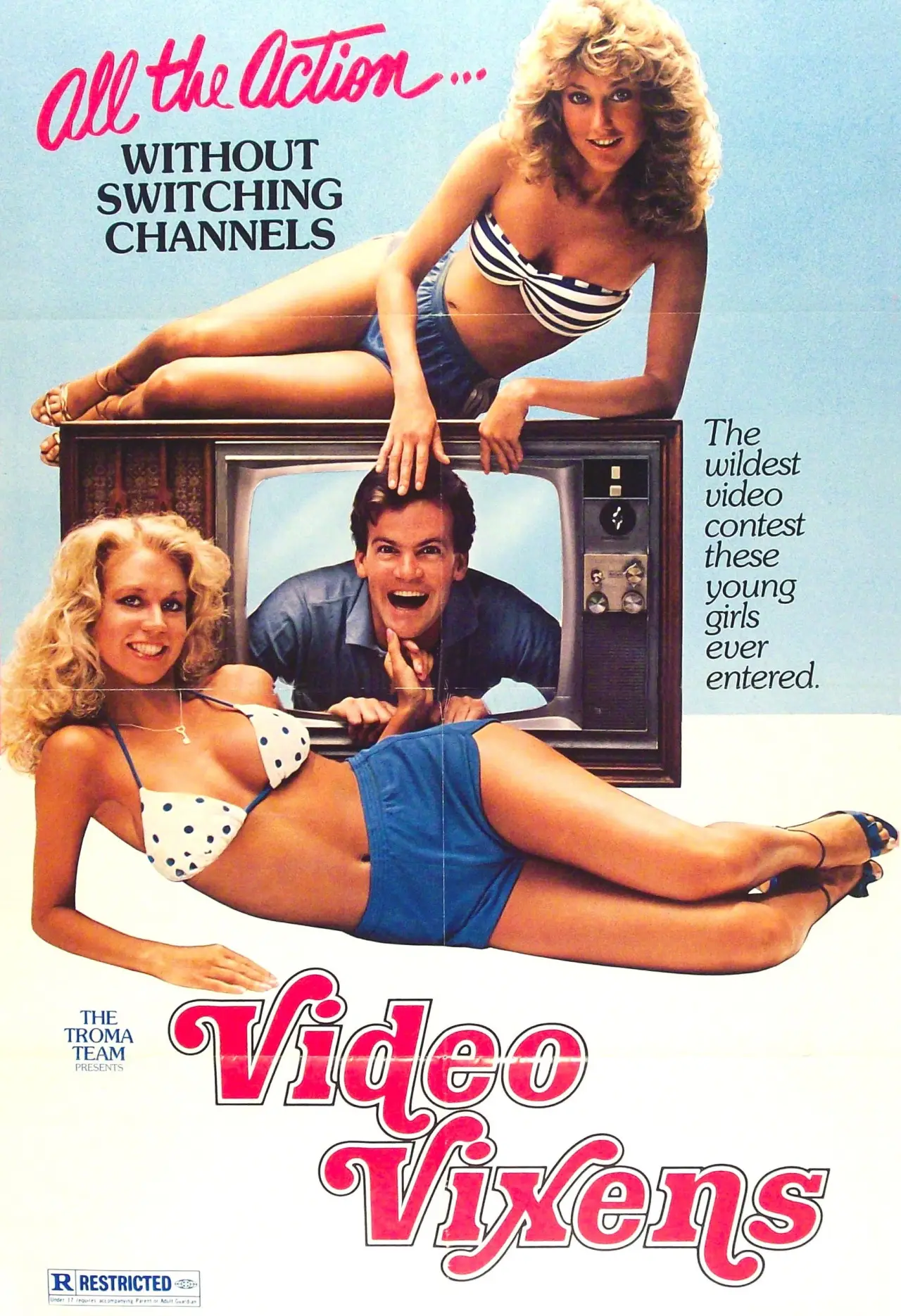 Movie poster "Video Vixens!"