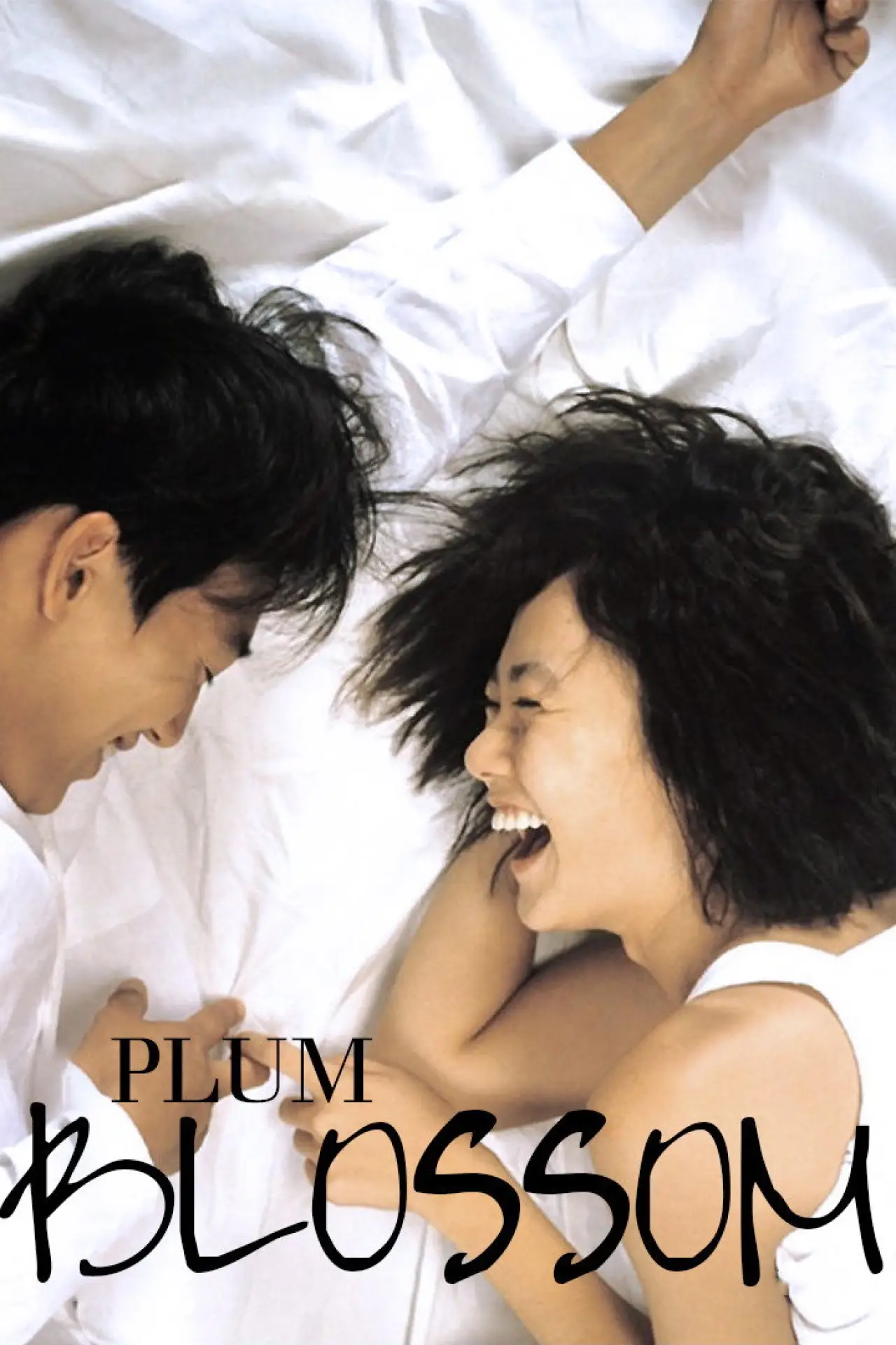 Movie poster "Plum Blossom"