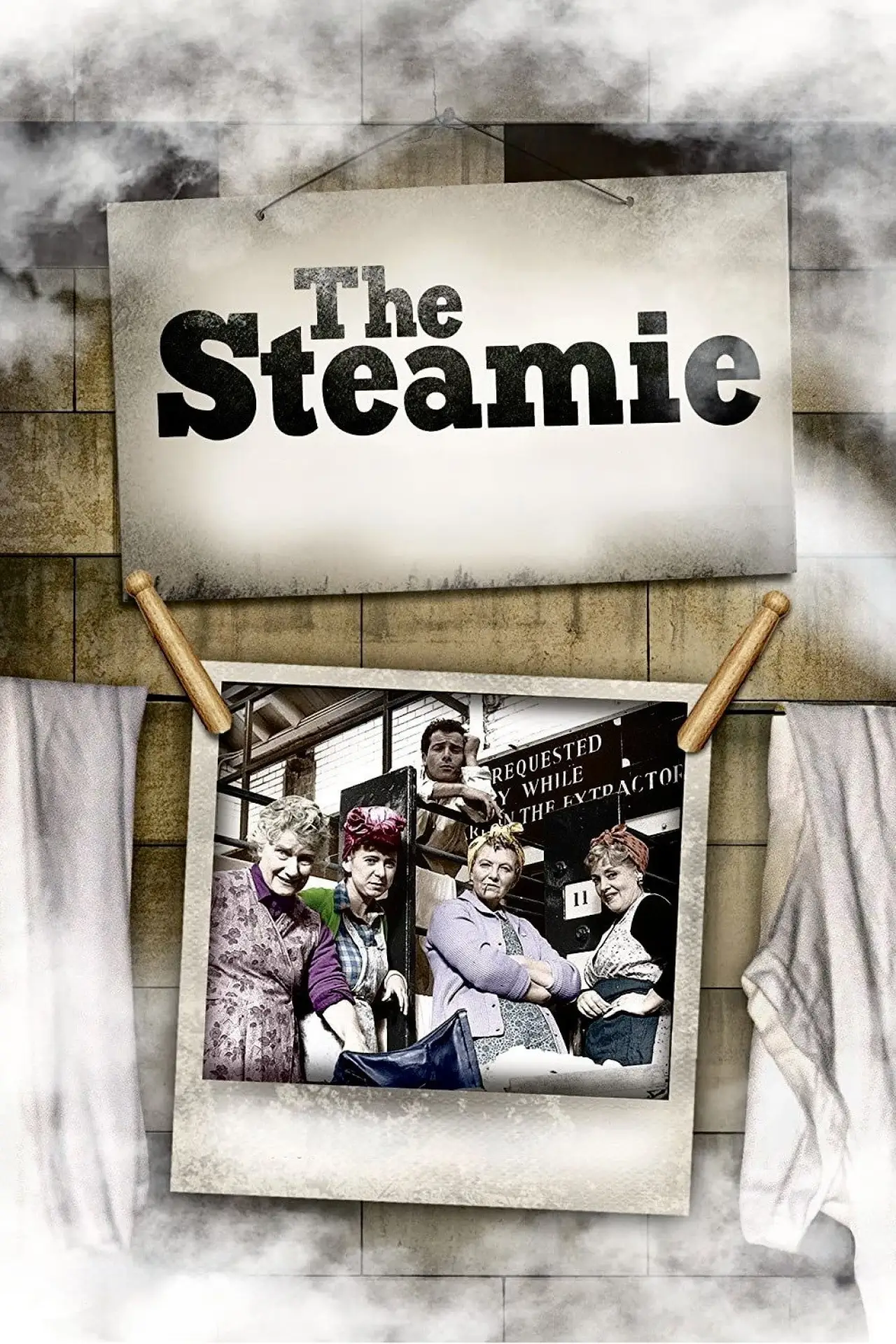 Movie poster "The Steamie"