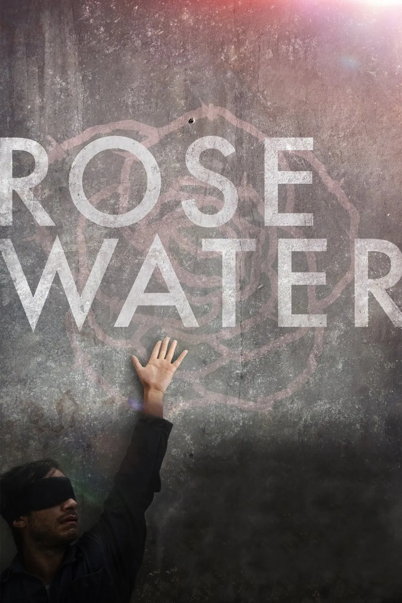 Movie poster "Rosewater"