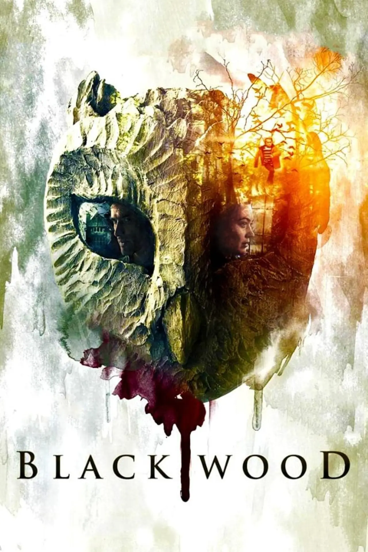 Movie poster "Blackwood"