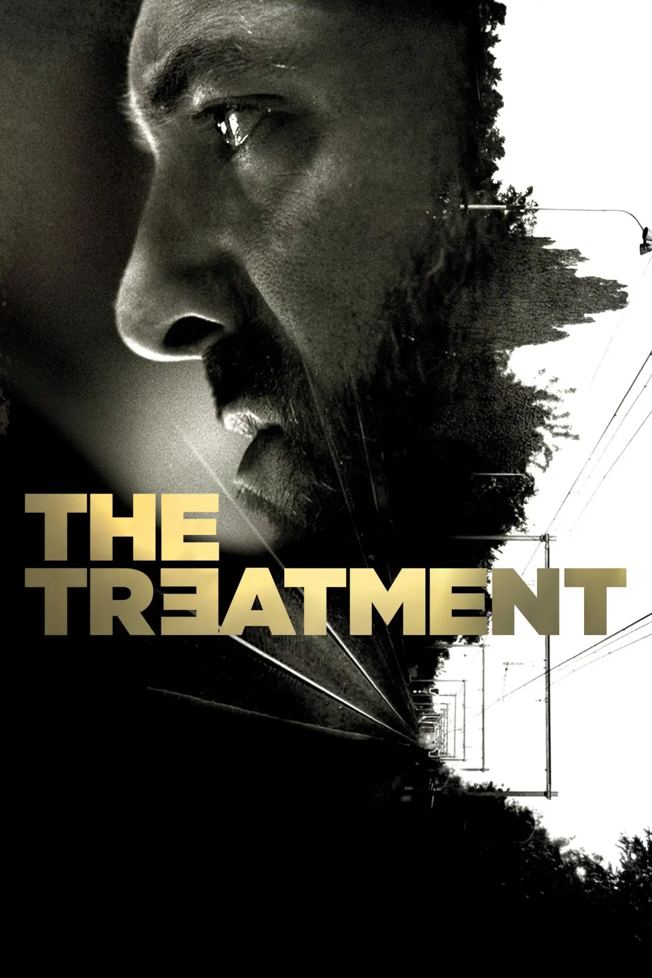 Movie poster "The Treatment"