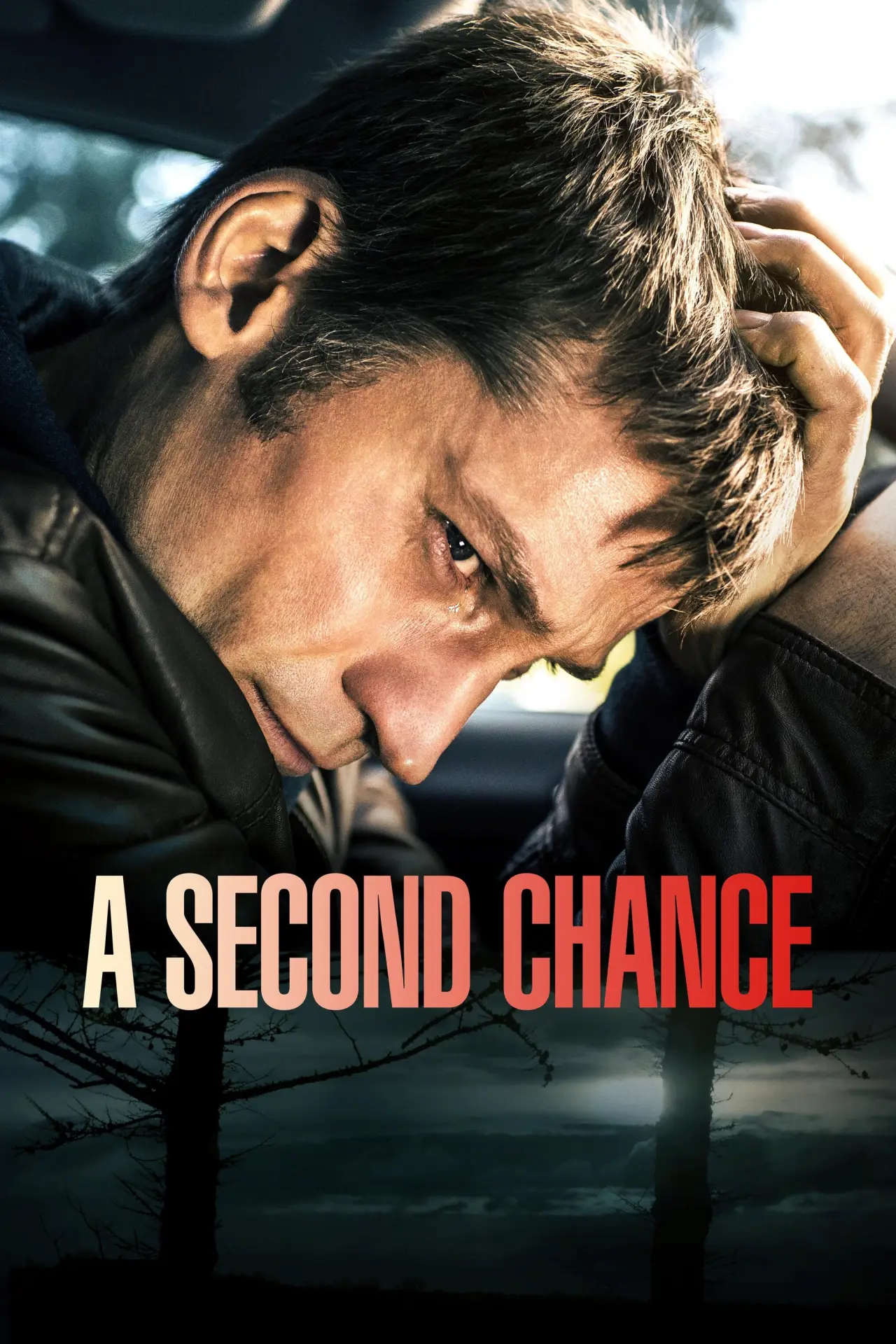Movie poster "A Second Chance"