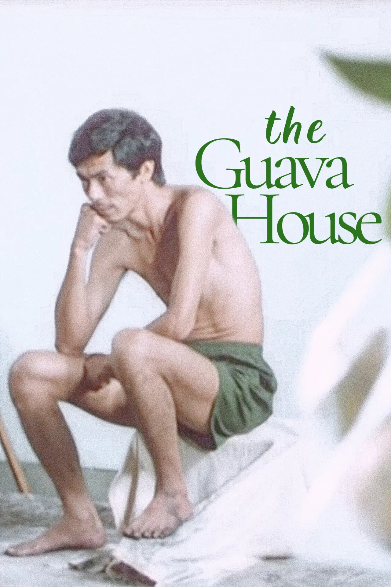 Movie poster "The Guava House"