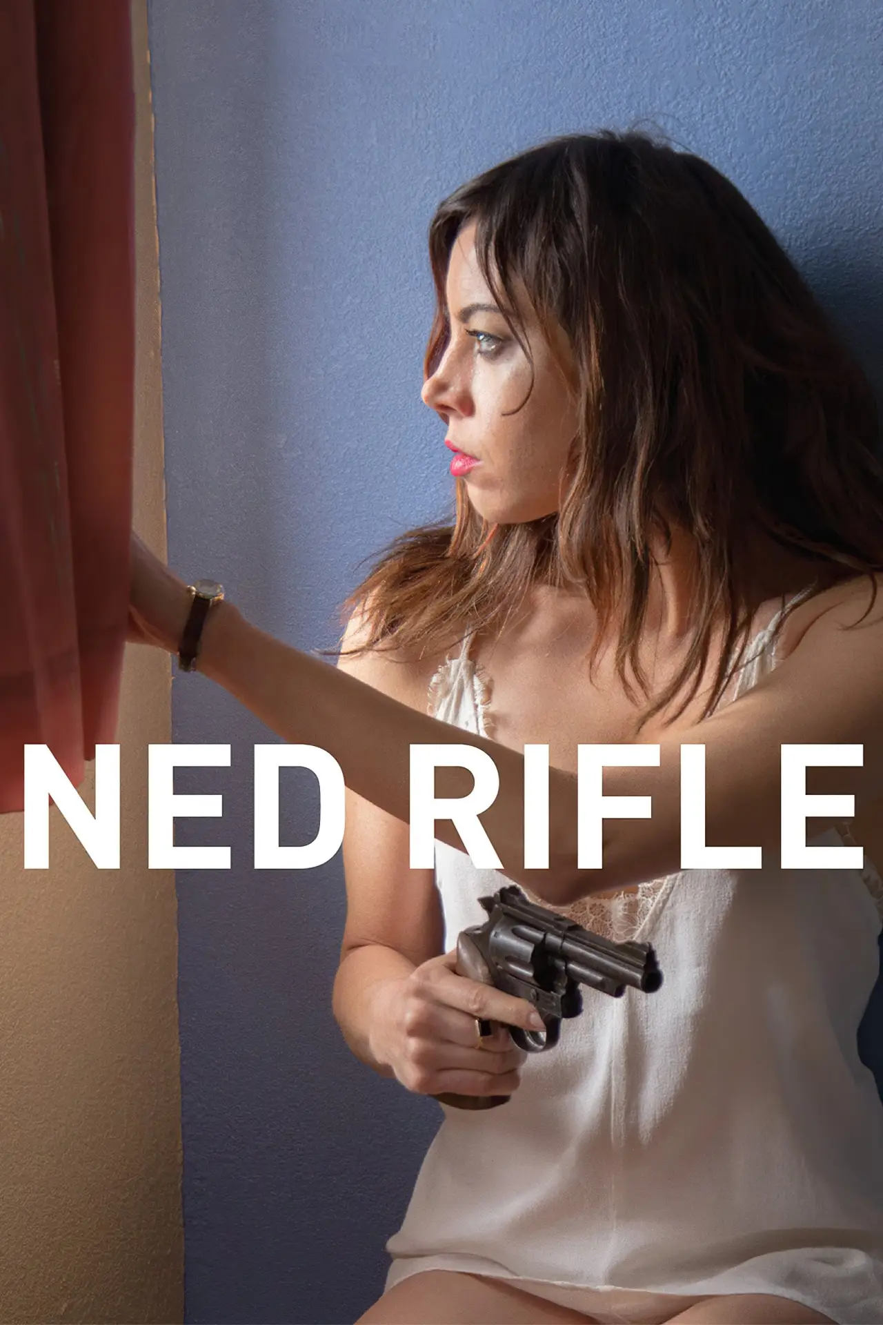 Movie poster "Ned Rifle"