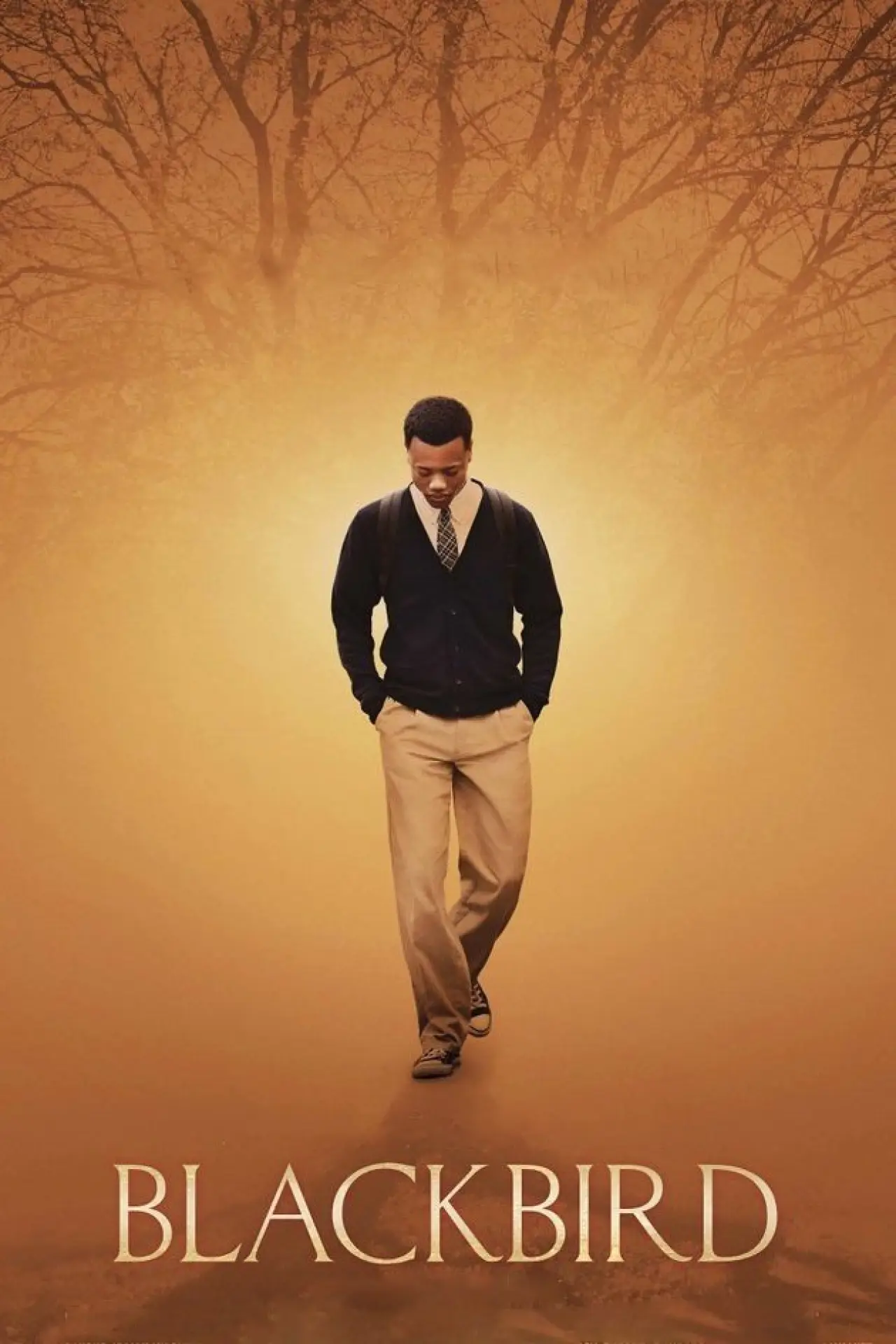Movie poster "Blackbird"