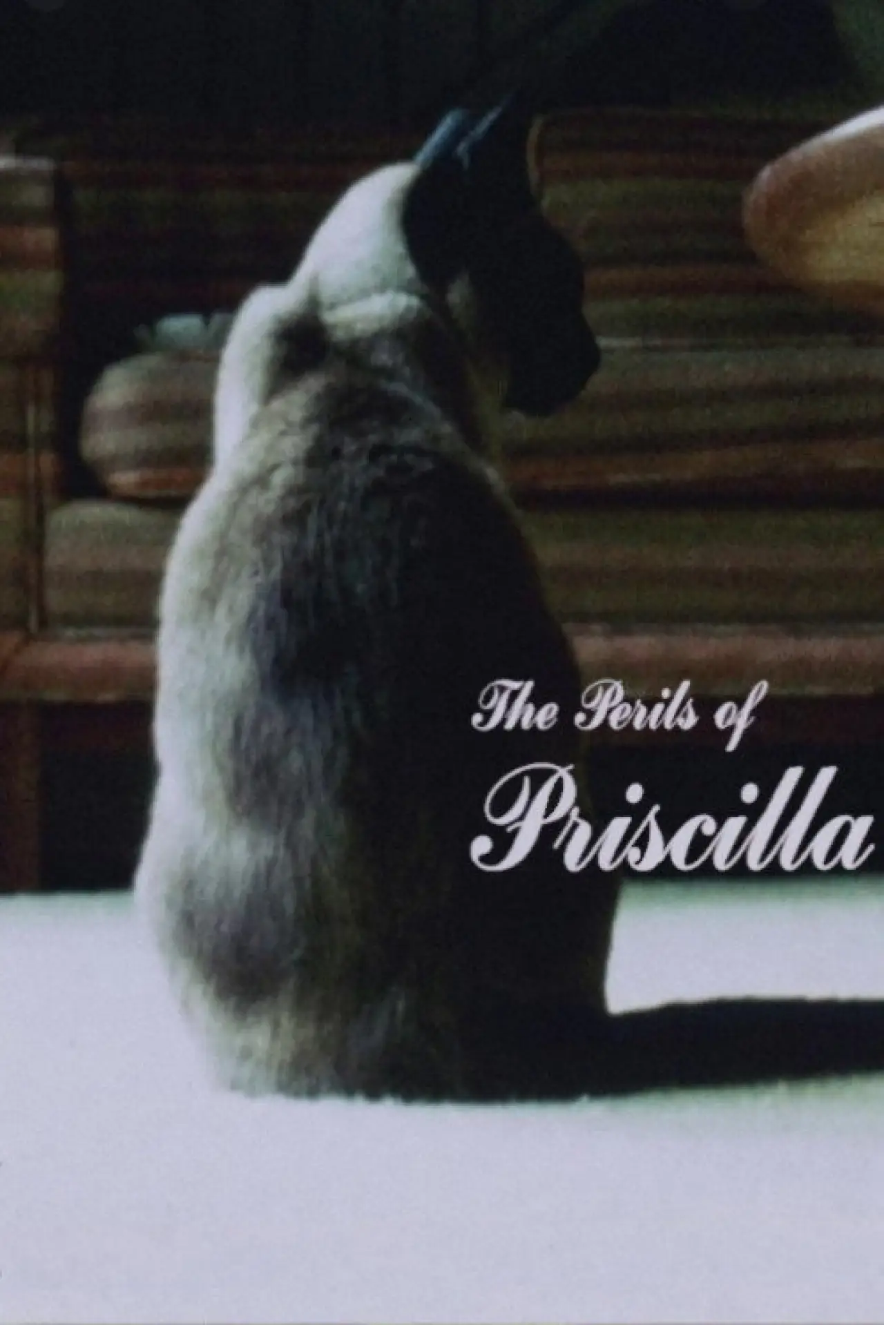 Movie poster "The Perils of Priscilla"