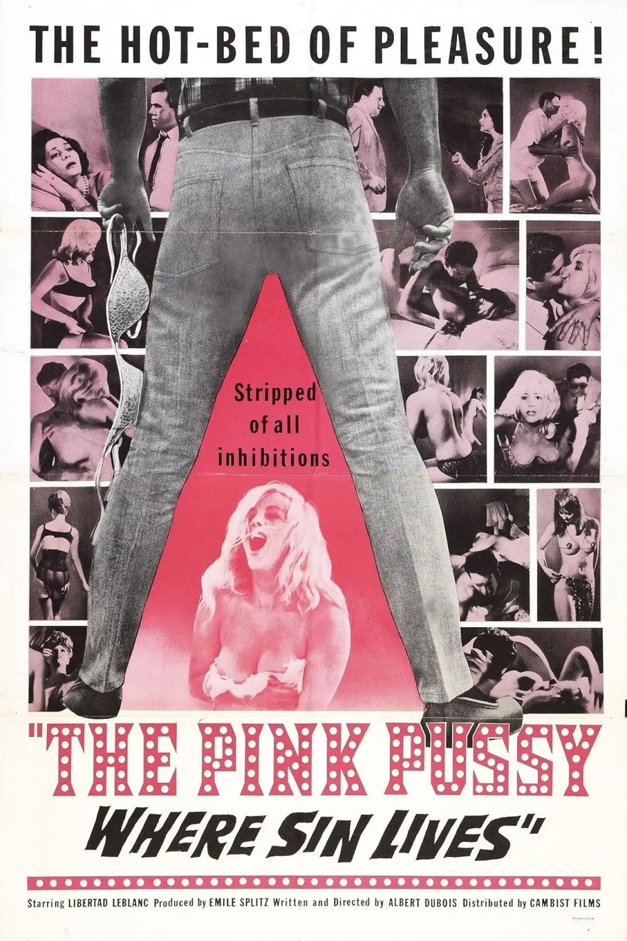 Movie poster "Harassed"